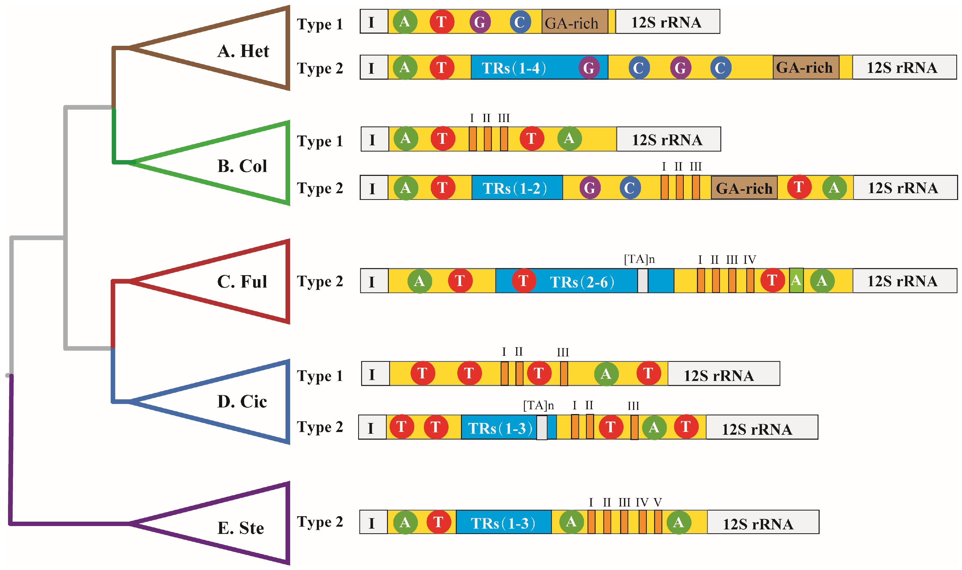 Ijms 19 01292 g001 Ijms 19 01292 g001