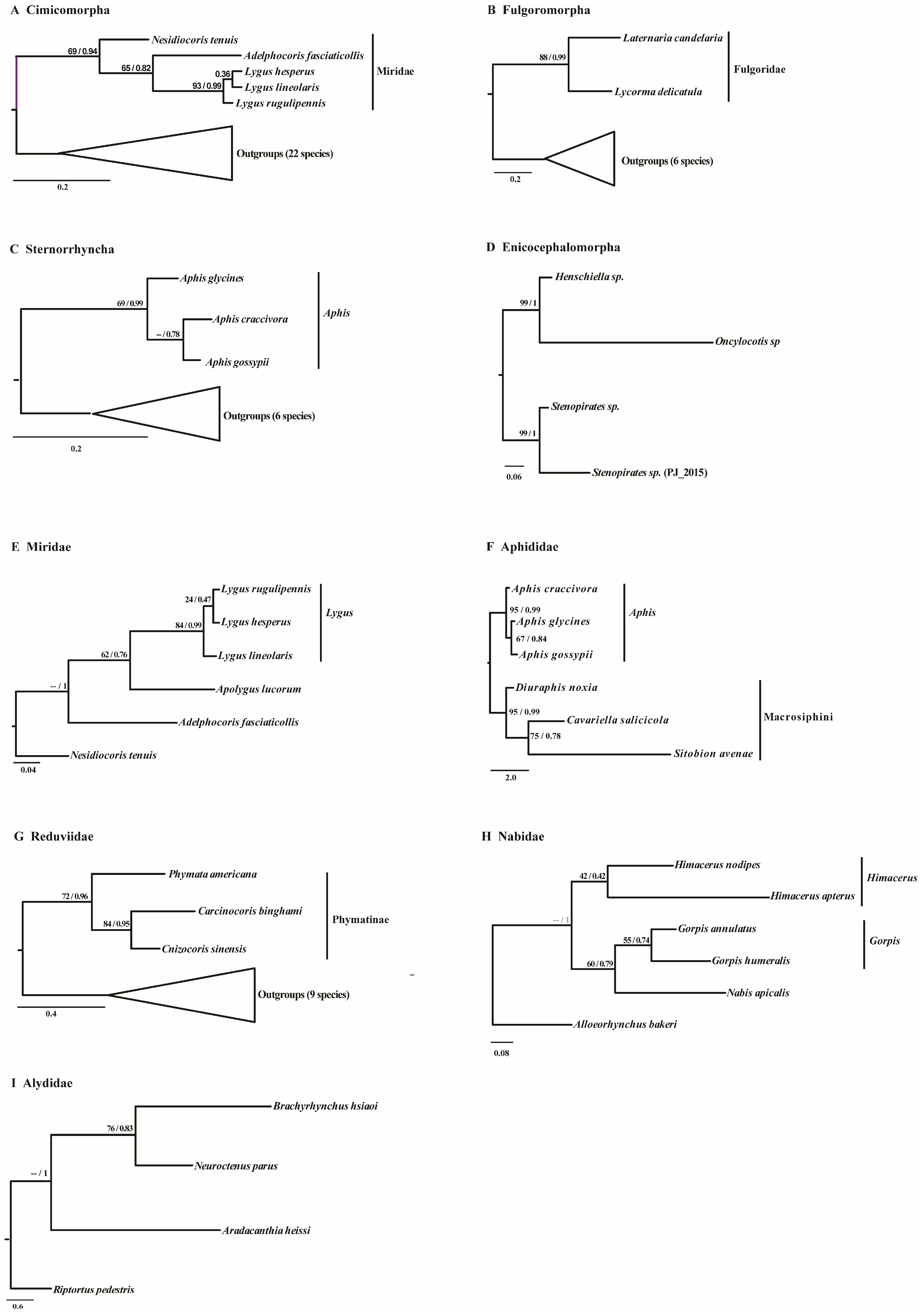 Ijms 19 01292 g002 Ijms 19 01292 g002