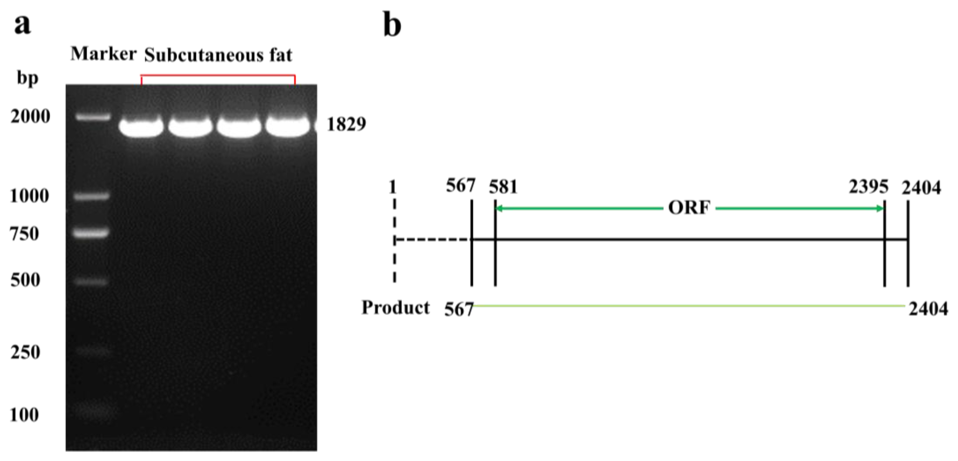 Ijms 19 01300 g001 550