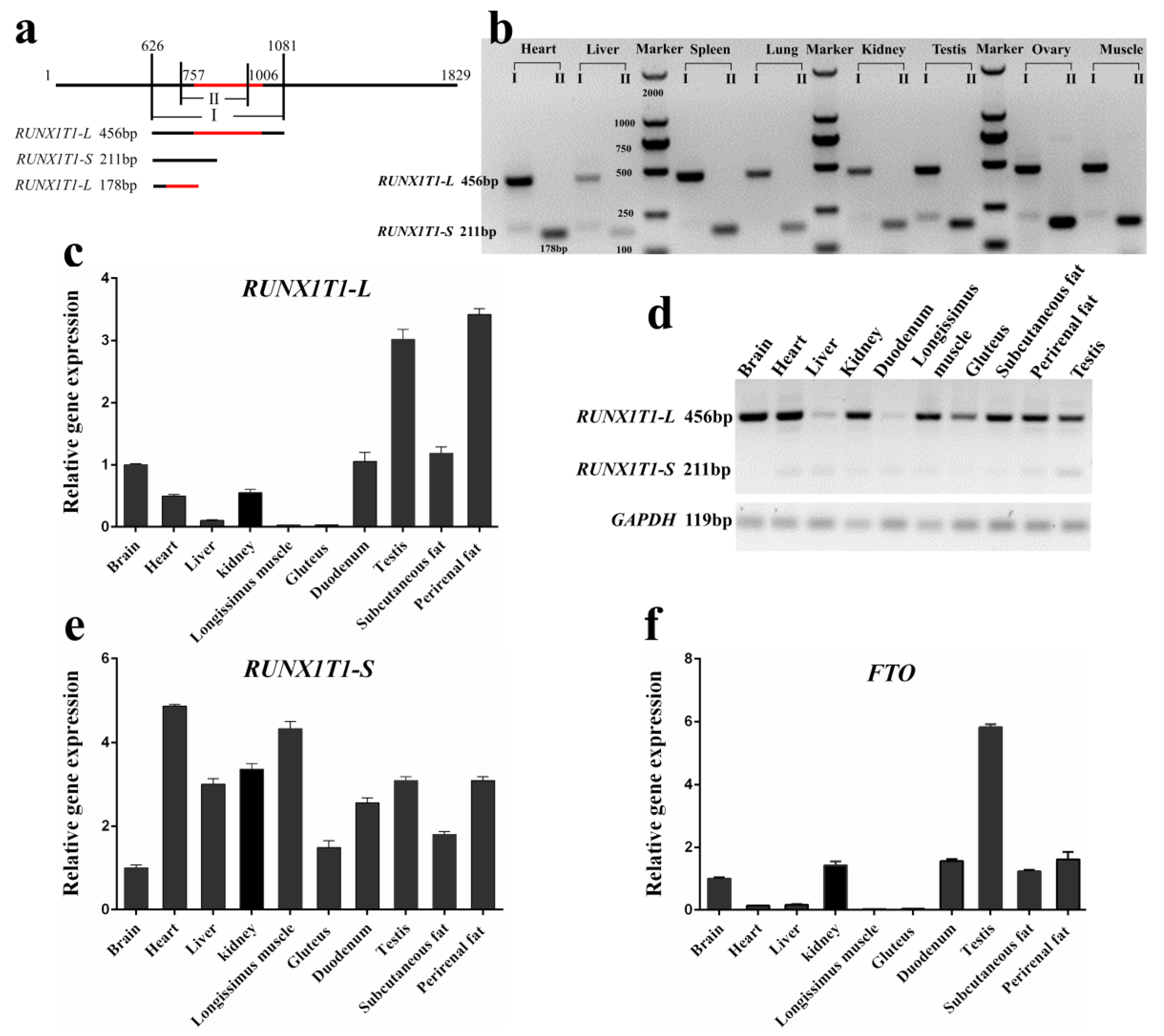 Ijms 19 01300 g004 550