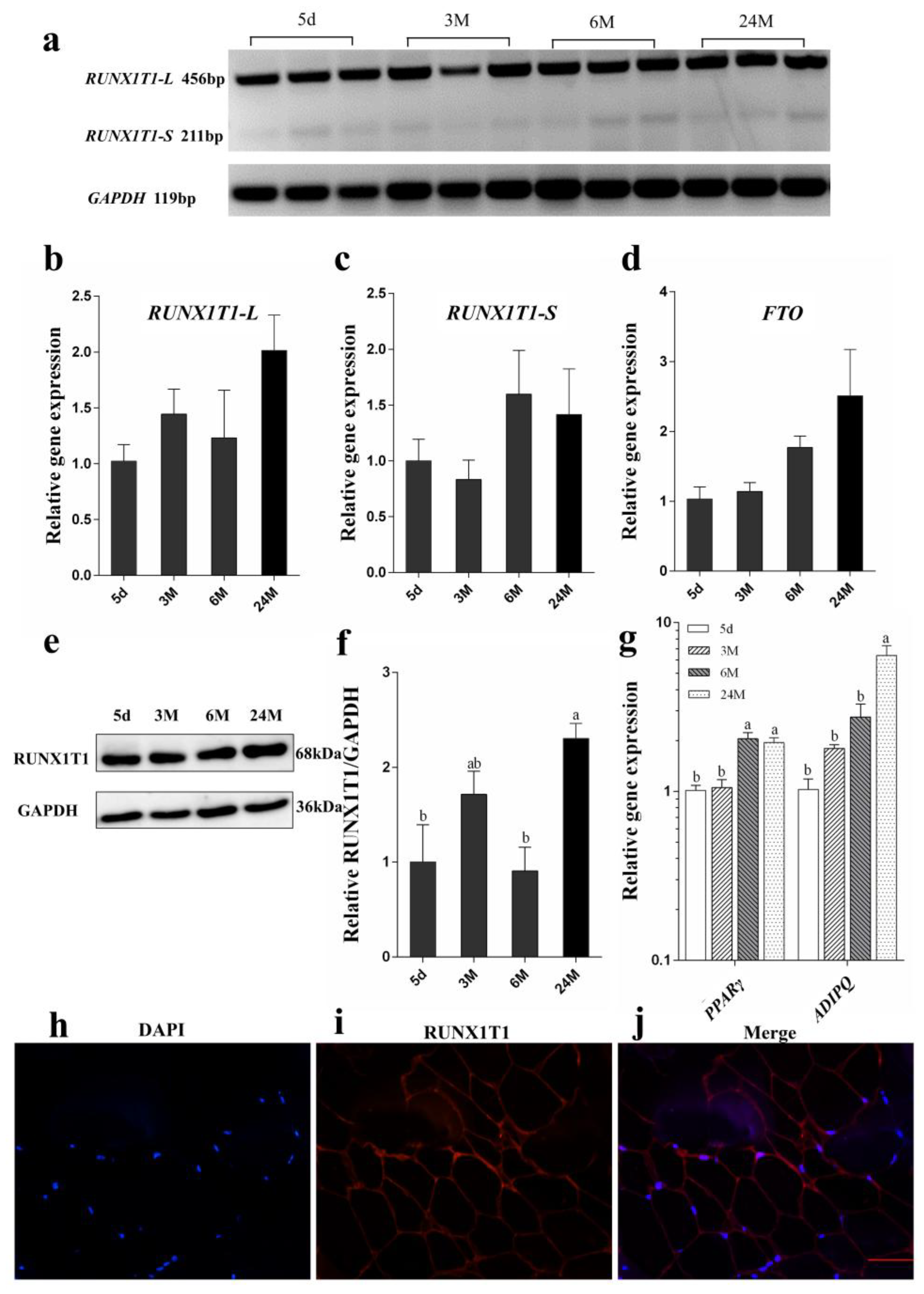 Ijms 19 01300 g005 550