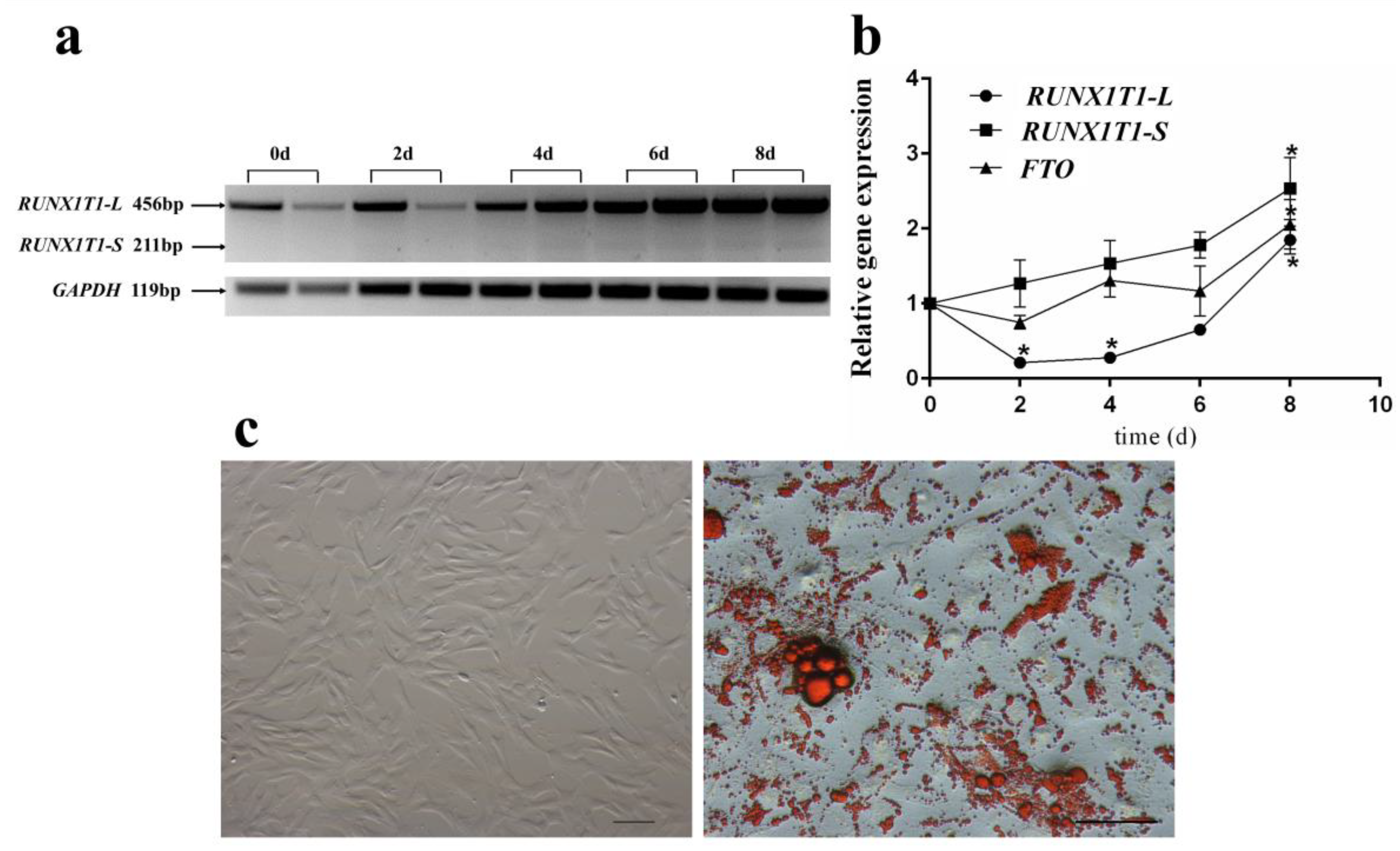 Ijms 19 01300 g006 550