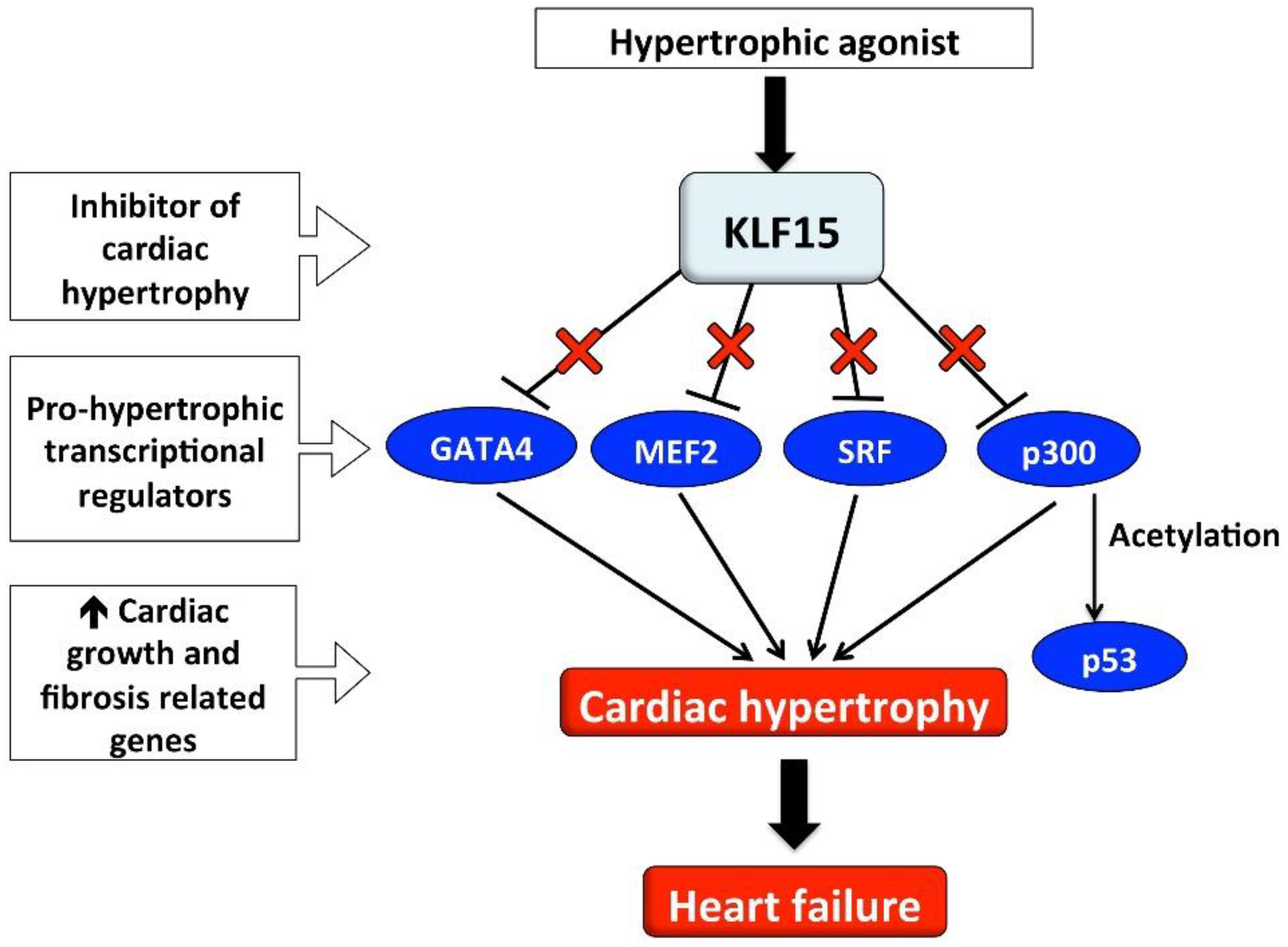 Ijms 19 01303 g001 Ijms 19 01303 g001