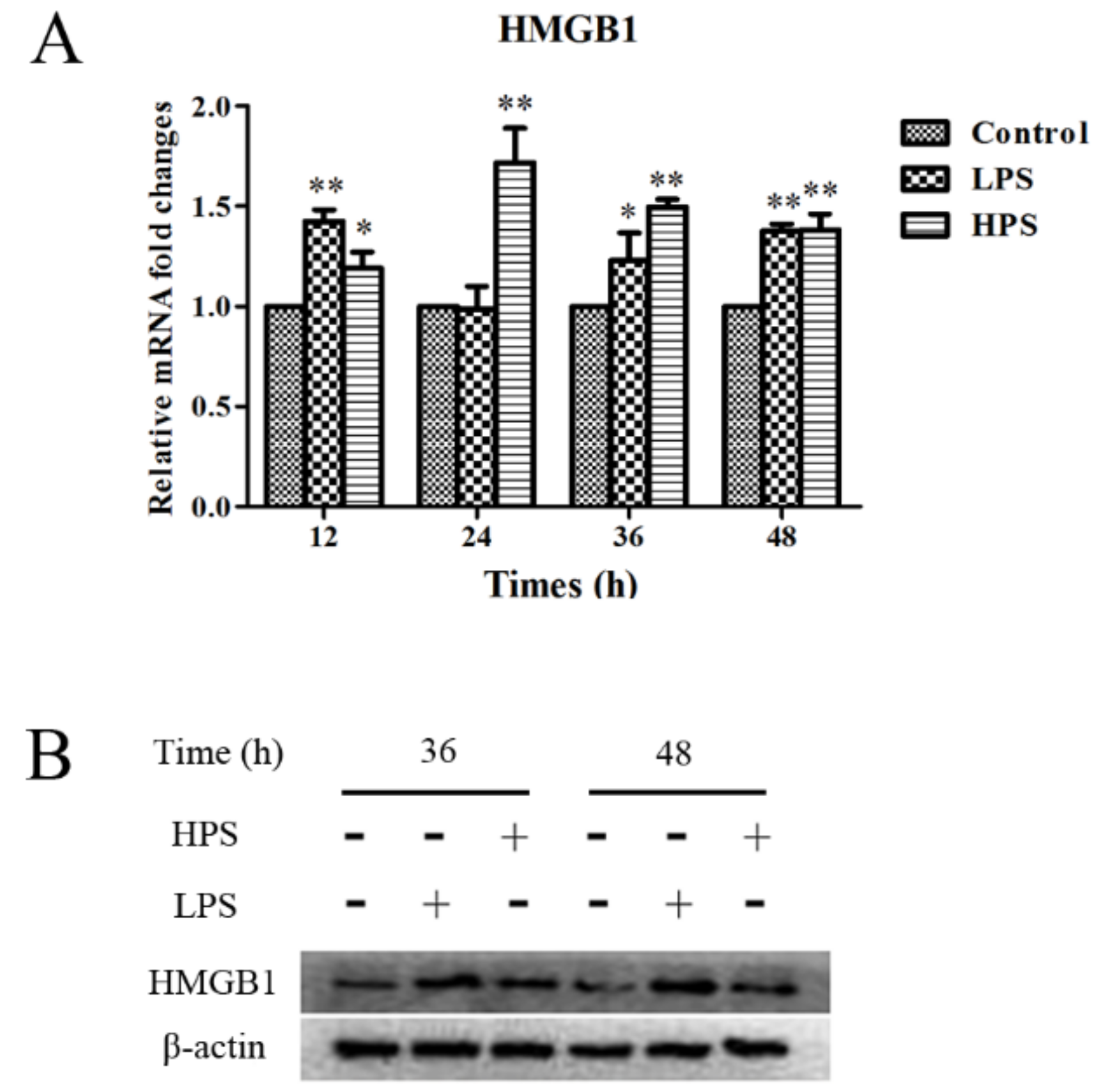 Ijms 19 01307 g001 Ijms 19 01307 g001