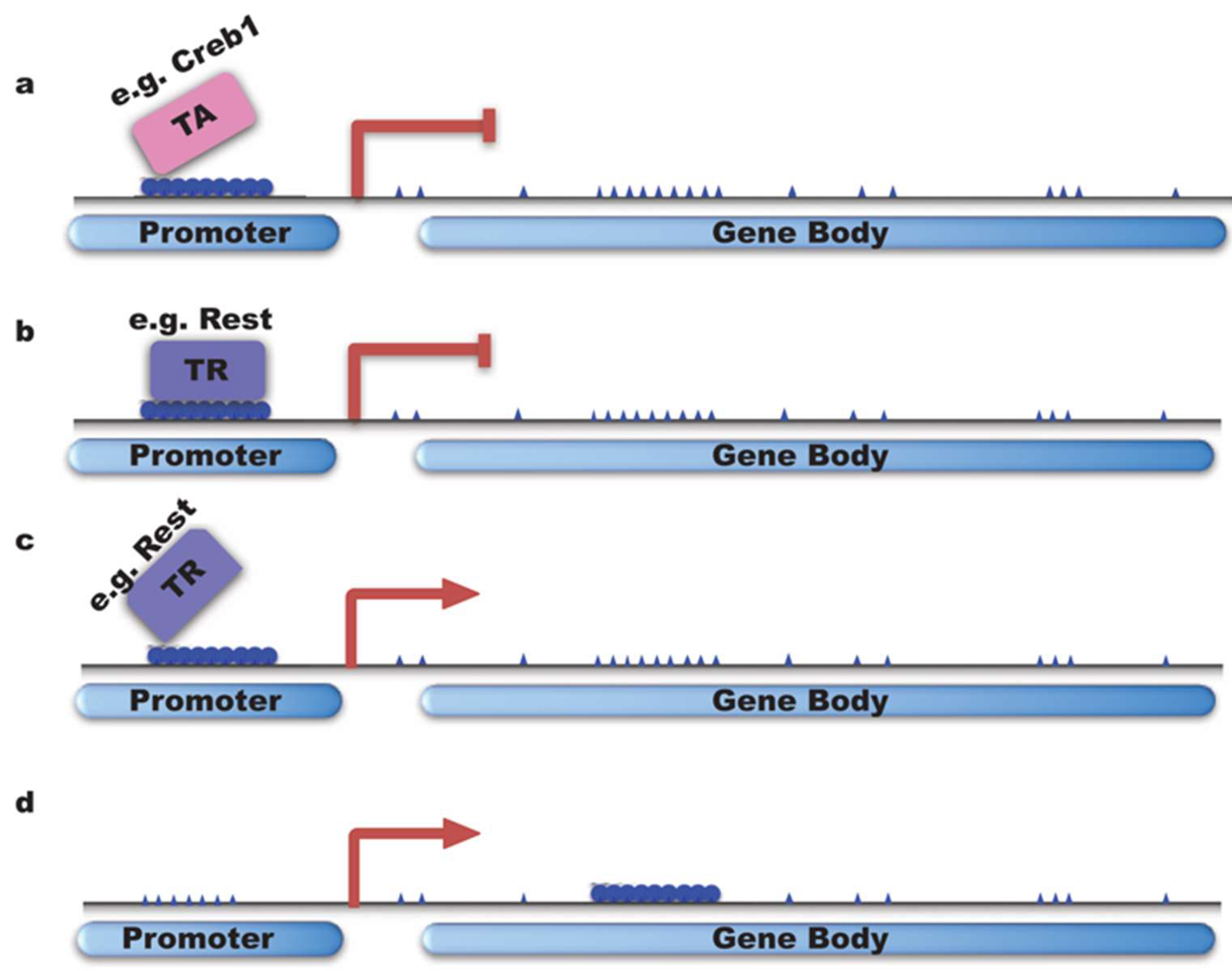 Dna methylation research papers