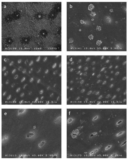 Effect of Glutathione Bio-Molecule on Tooth Discoloration Associated with  Silver Diammine Fluoride