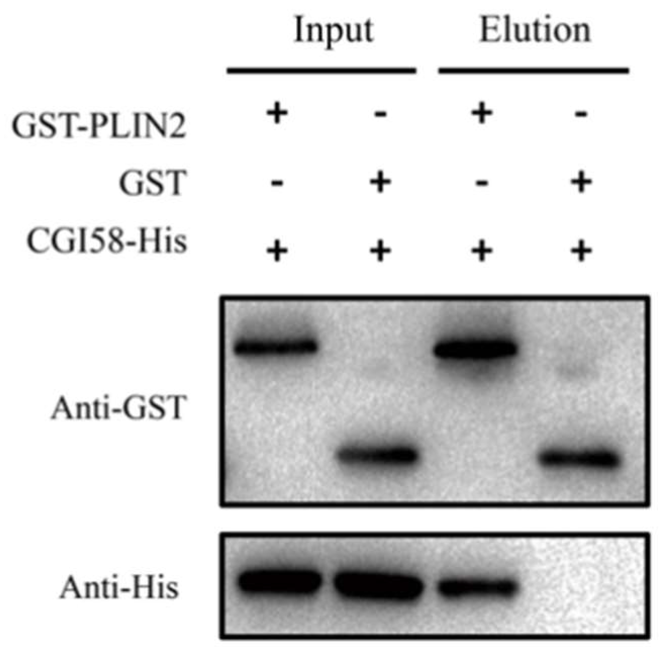 Ijms 19 01336 g007 550