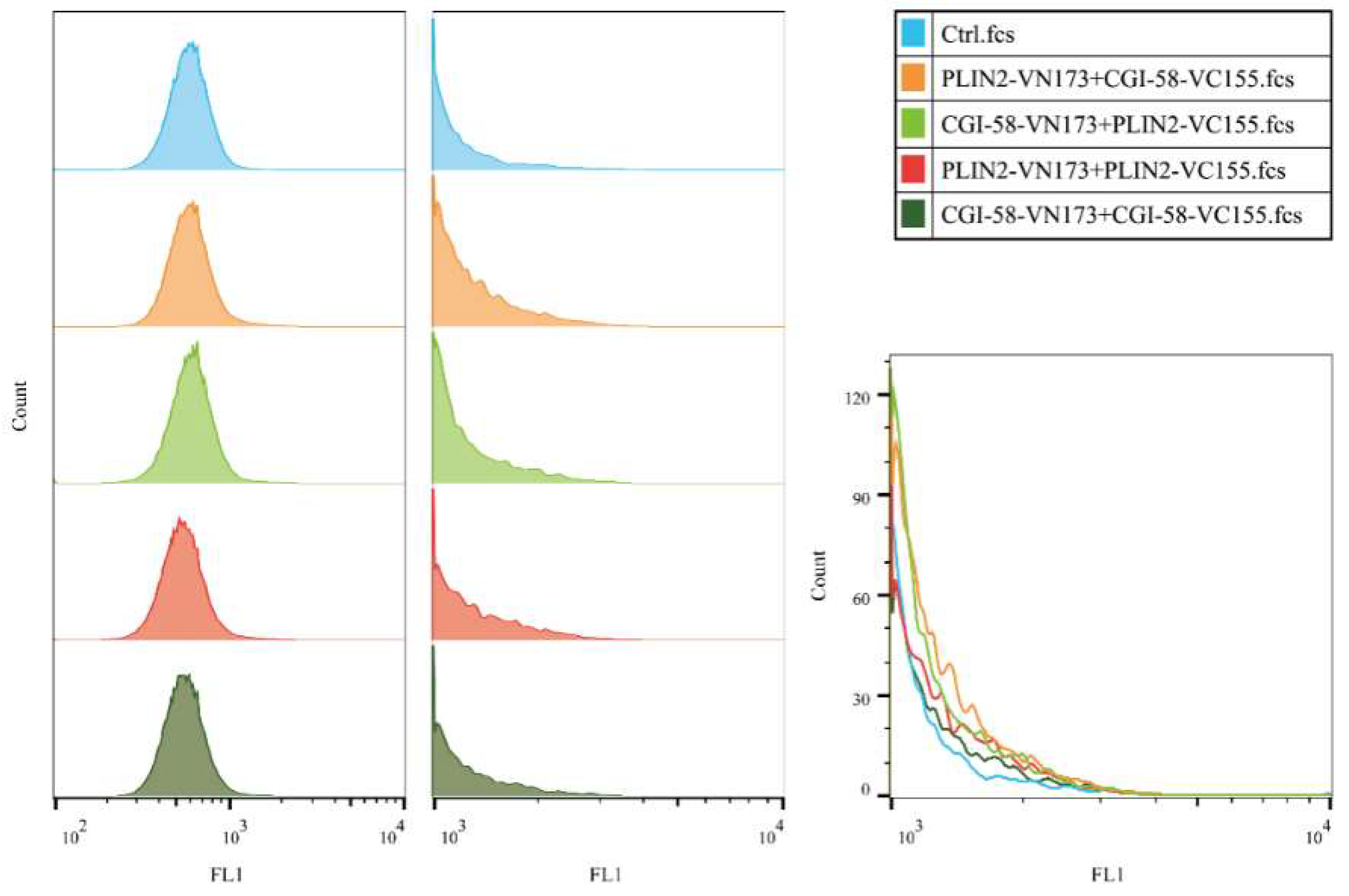 Ijms 19 01336 g009 550