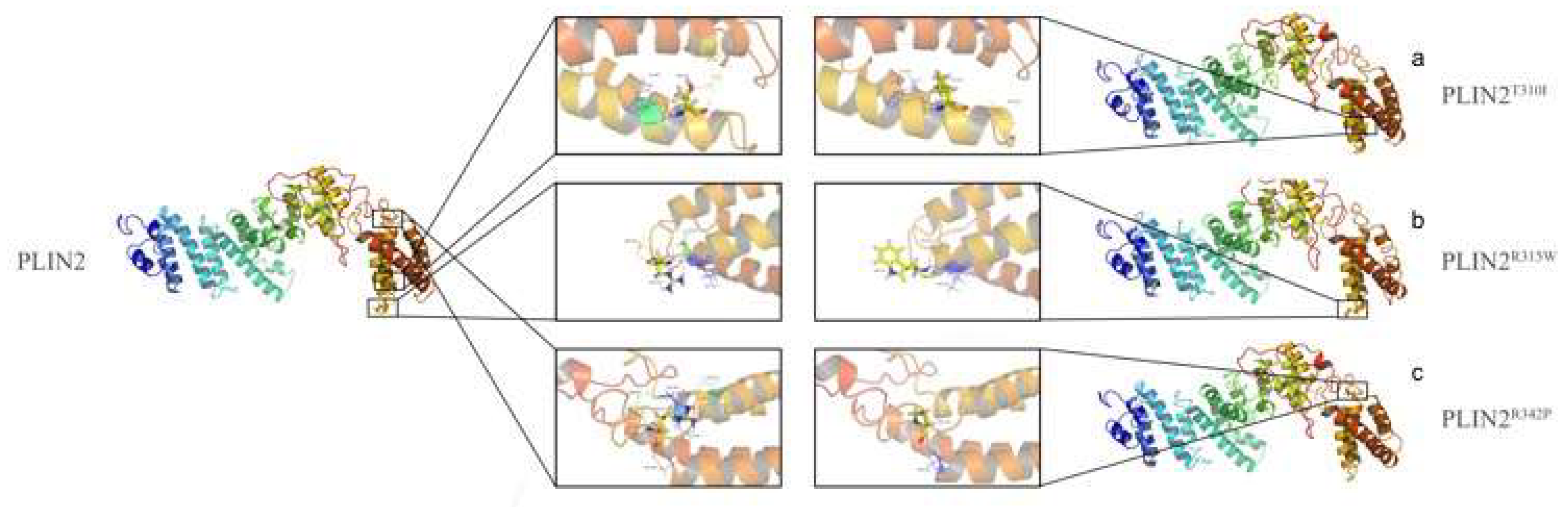 Ijms 19 01336 g010 550