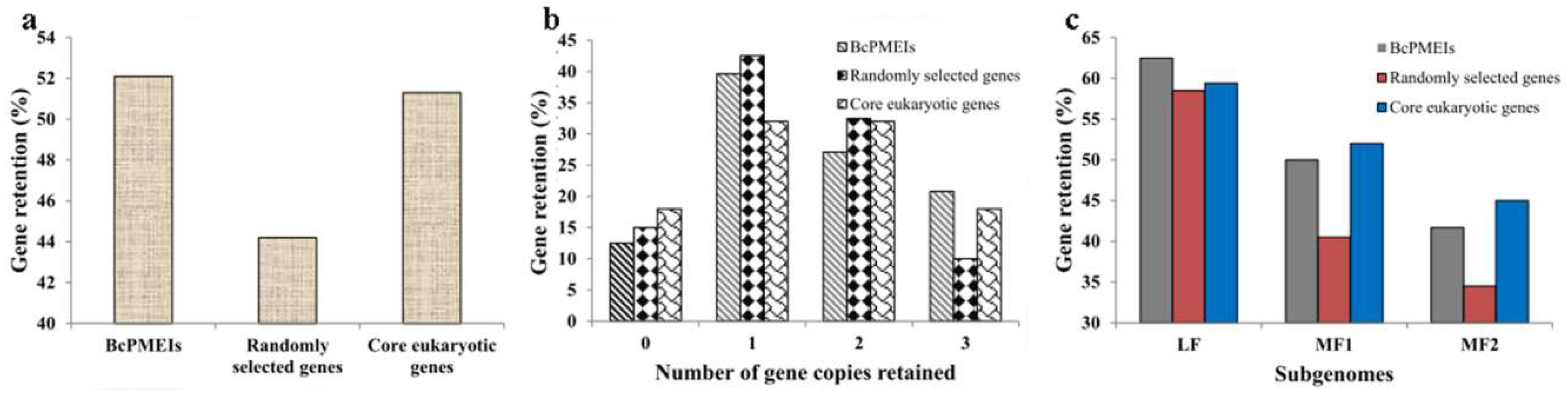 Ijms 19 01338 g004