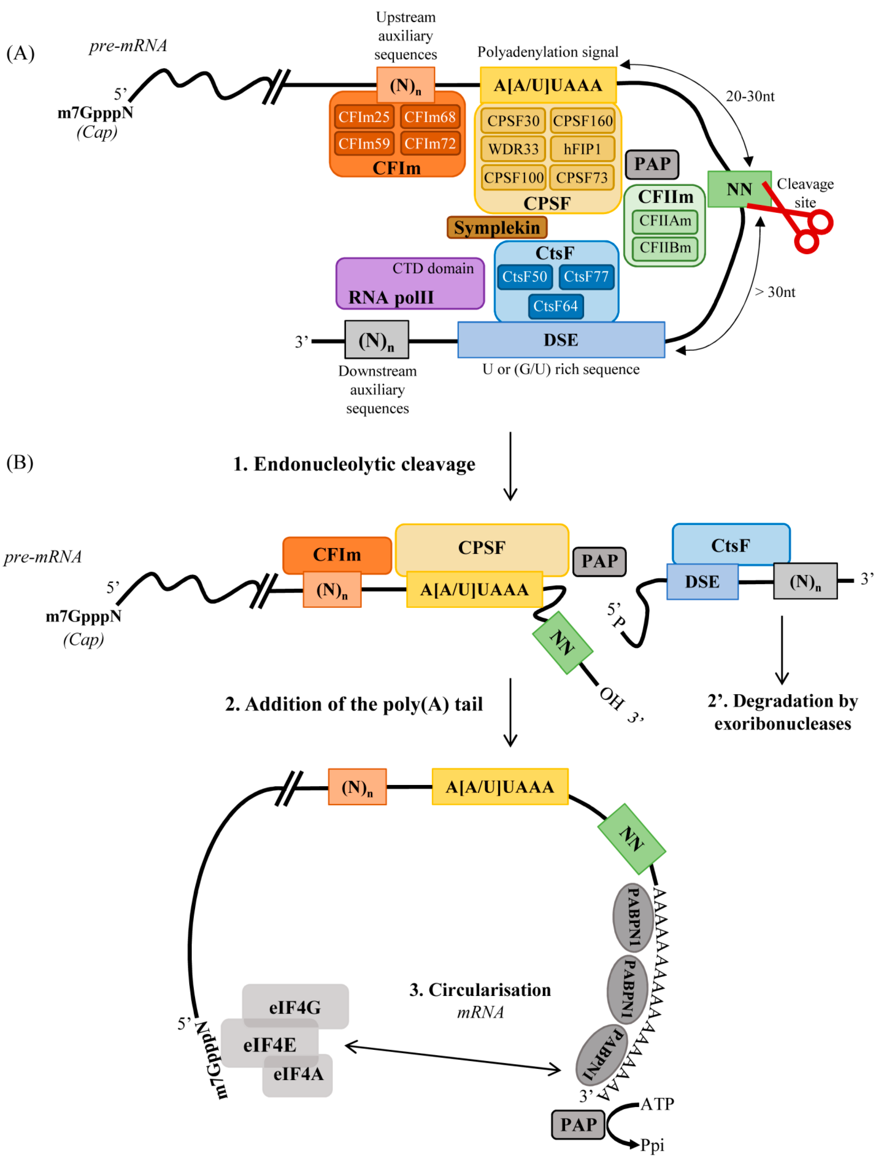 Ijms 19 01347 g001 Ijms 19 01347 g001