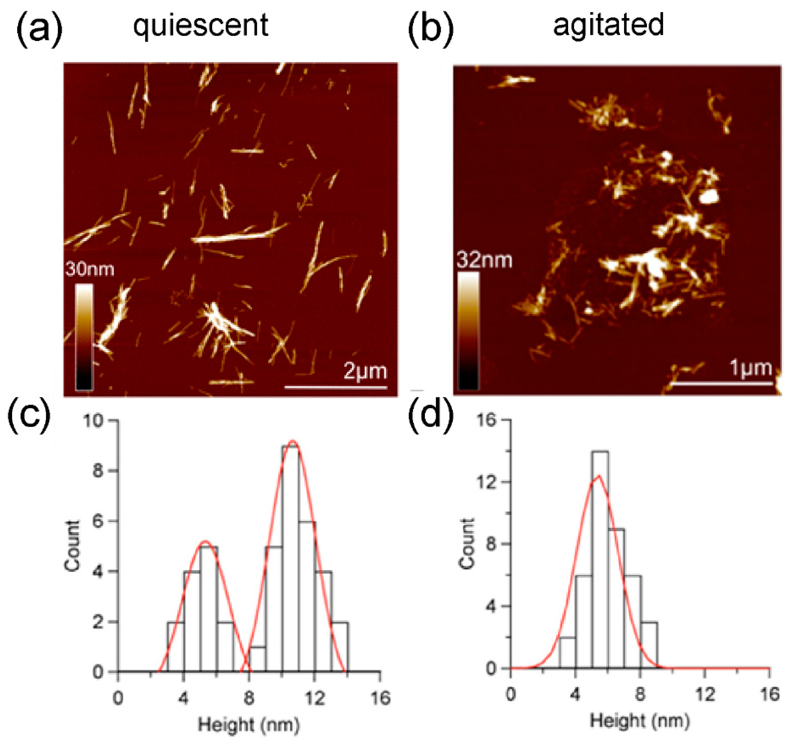 Ijms 19 01357 g003 550