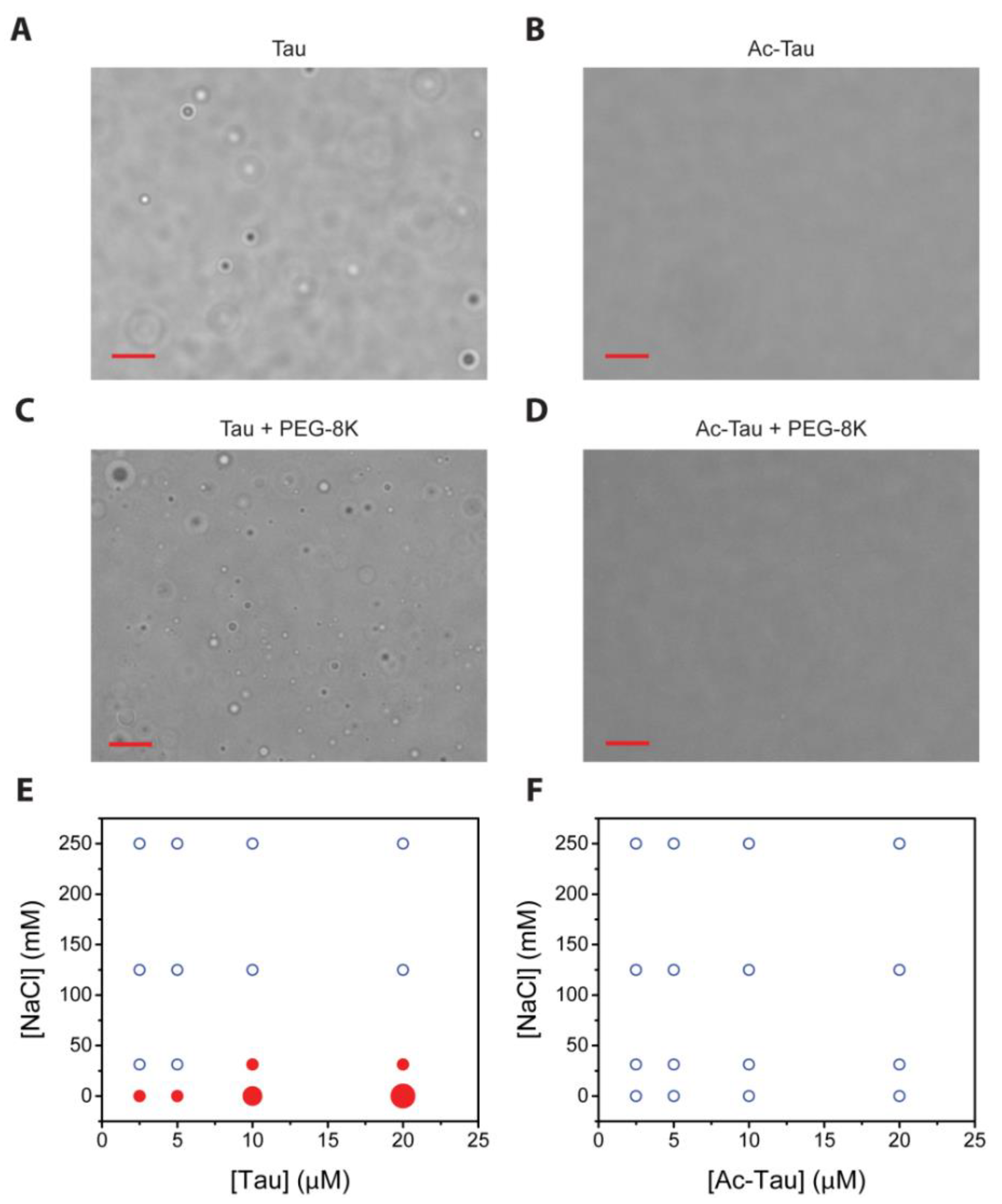 Ijms 19 01360 g002