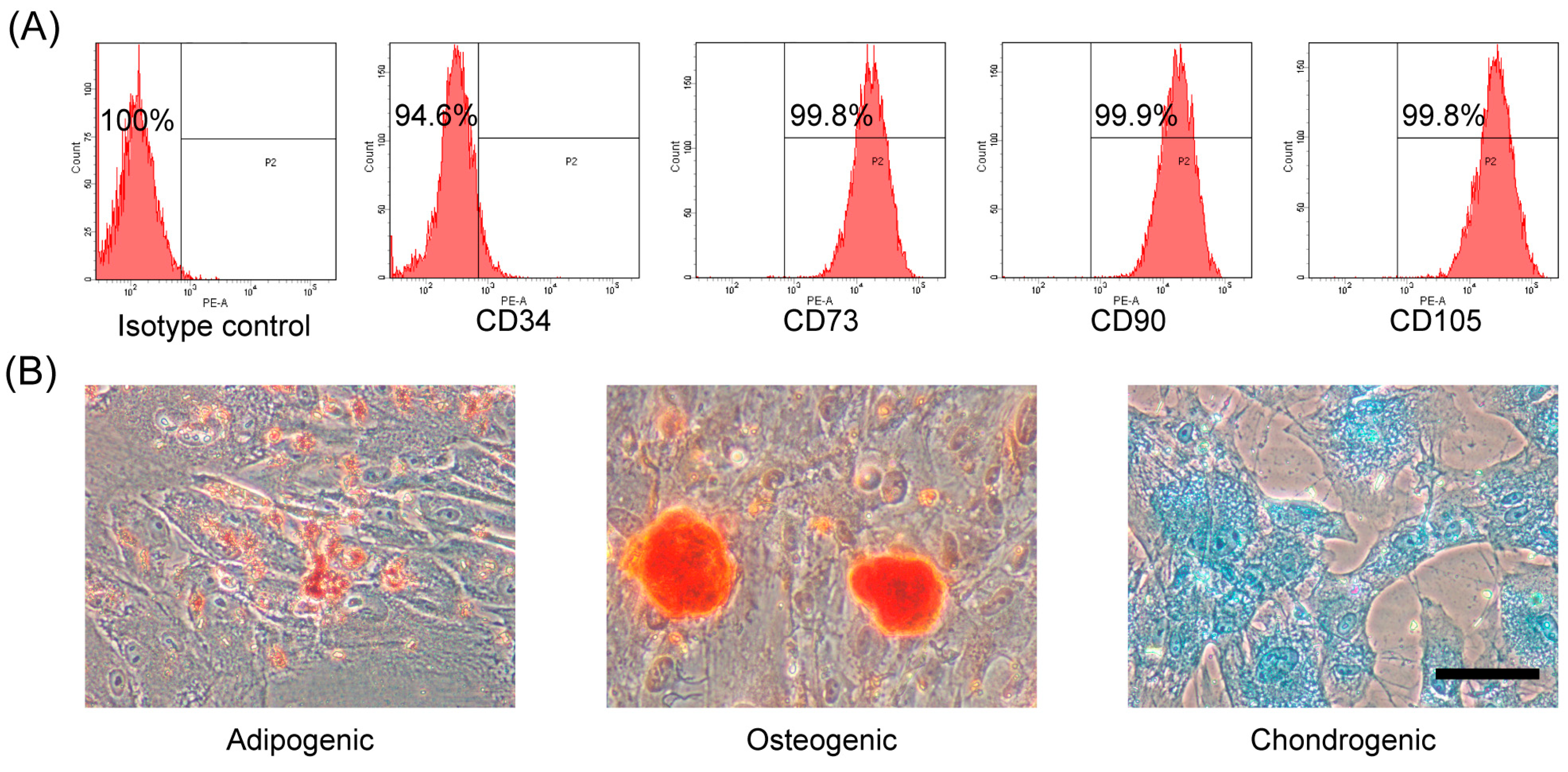 Ijms 19 01363 g001 550