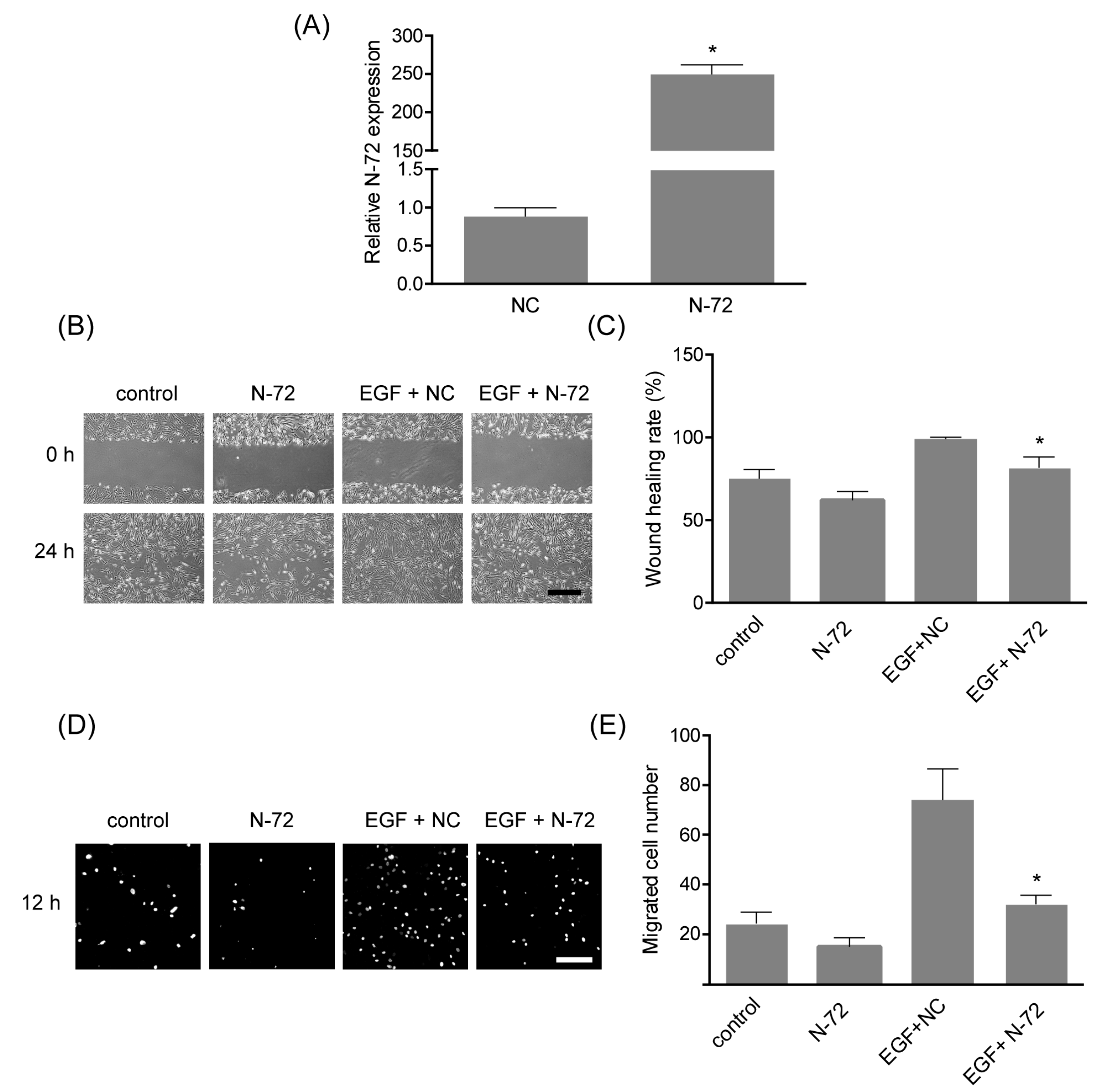 Ijms 19 01363 g004 550