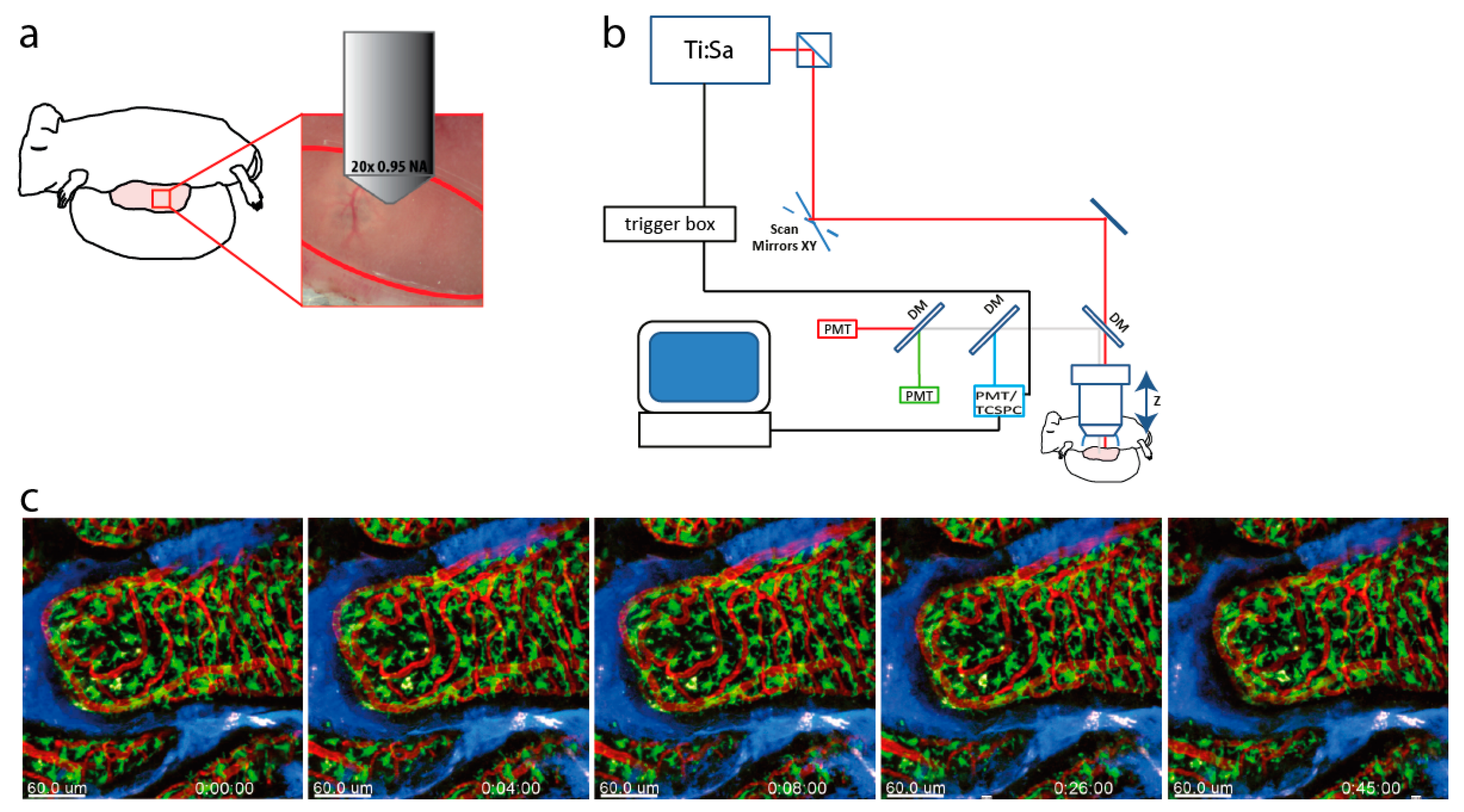 Ijms 19 01365 g001 Ijms 19 01365 g001