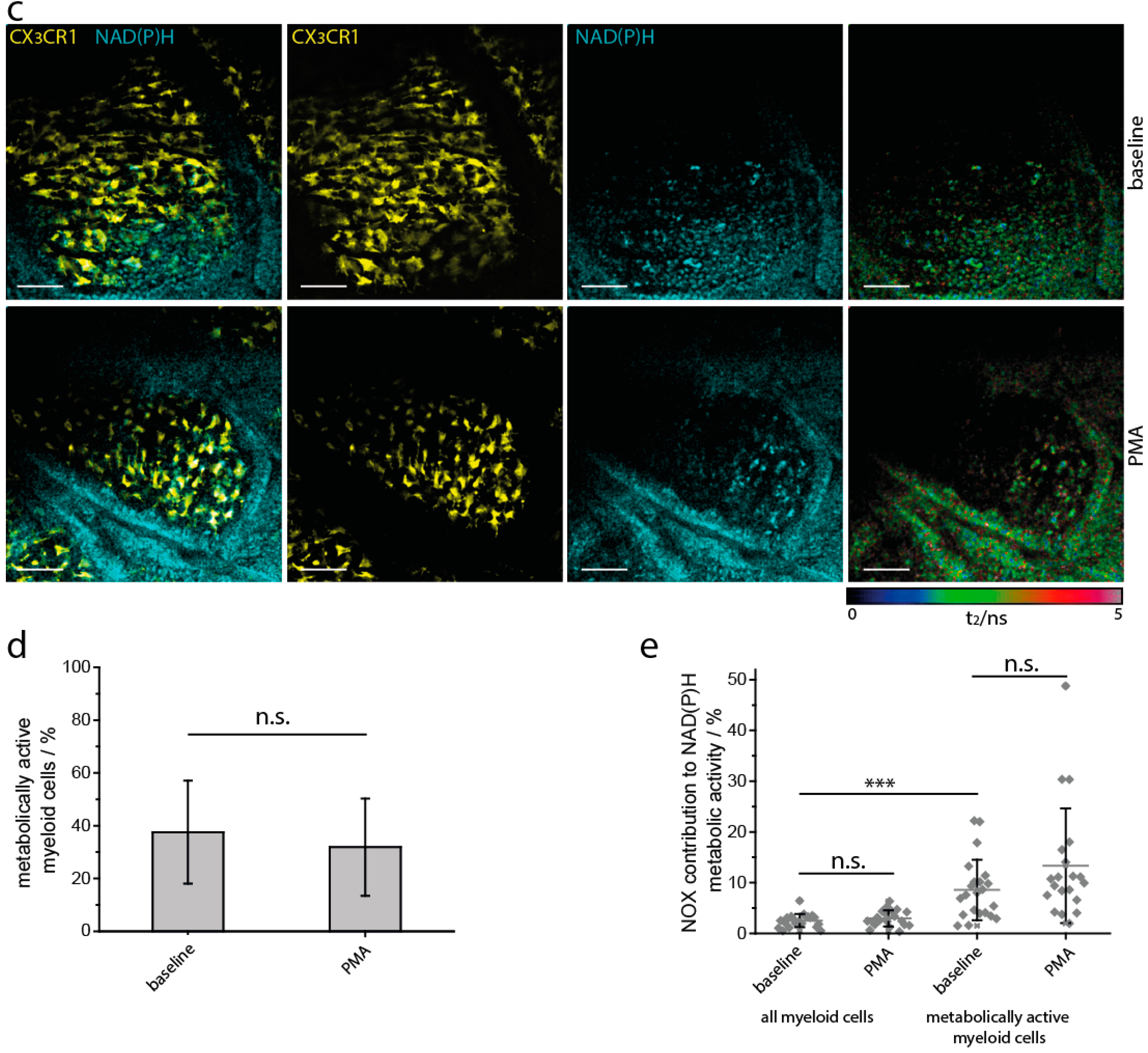 Ijms 19 01365 g002b Ijms 19 01365 g002b