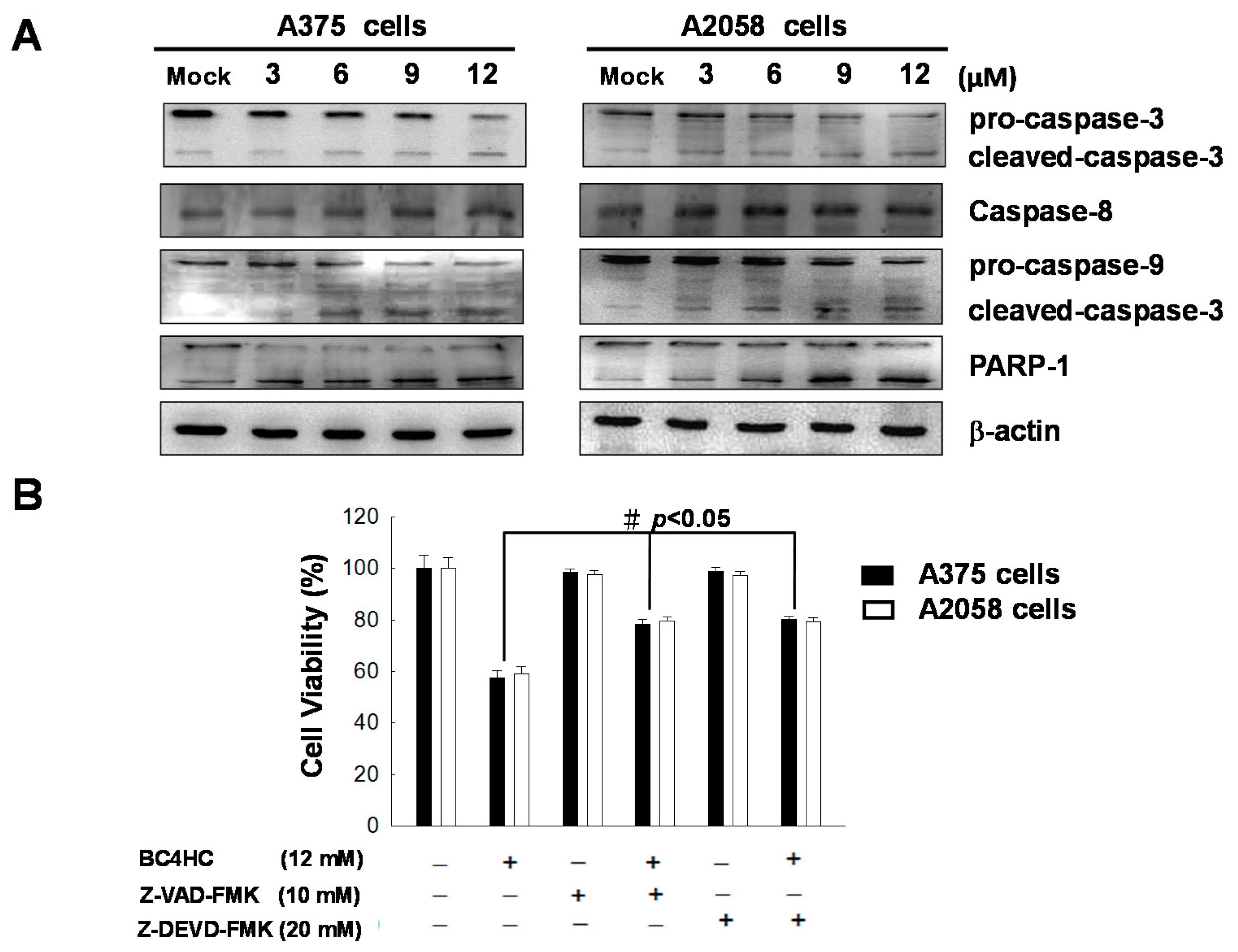 Ijms 19 01370 g006 550