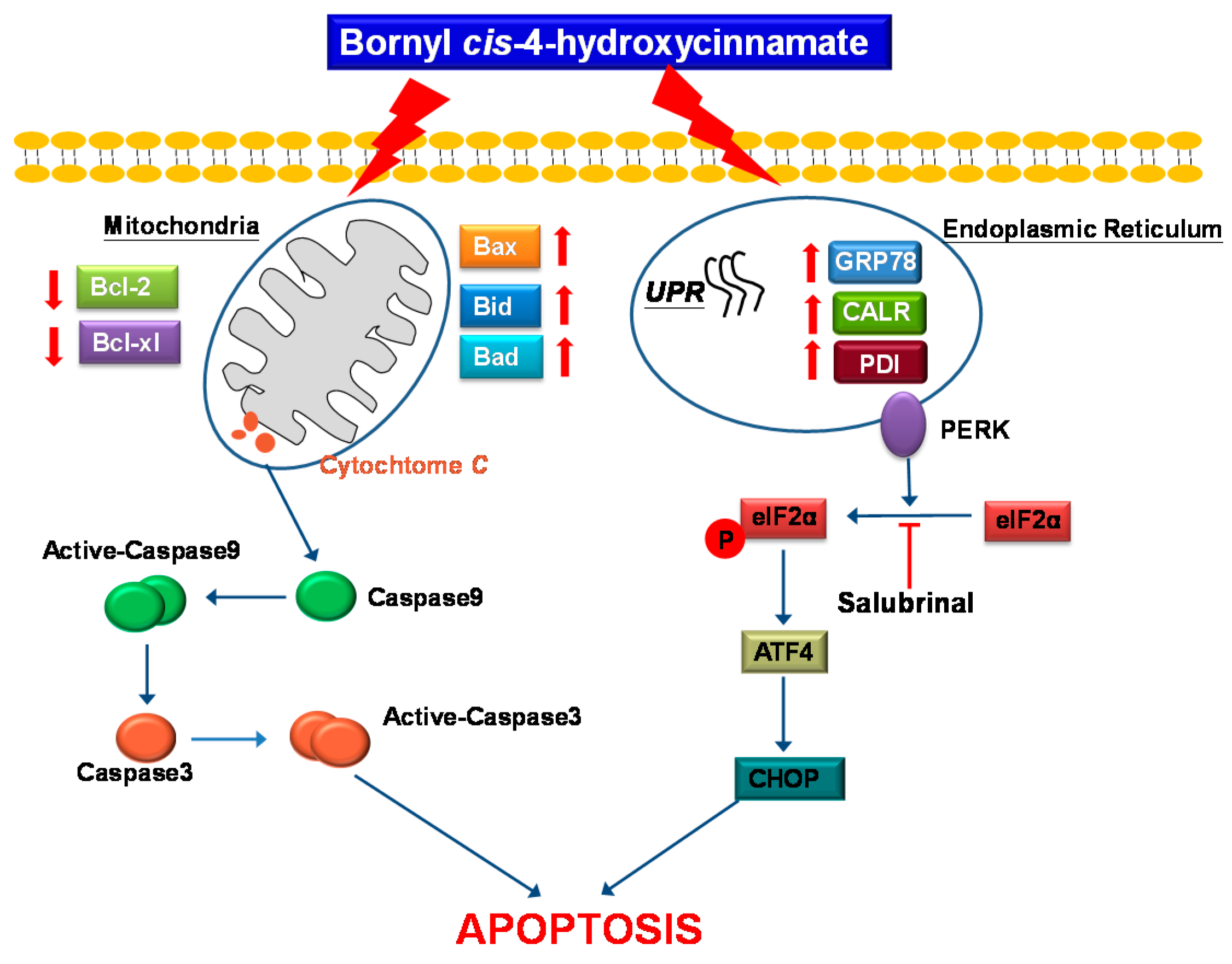 Ijms 19 01370 g009 550