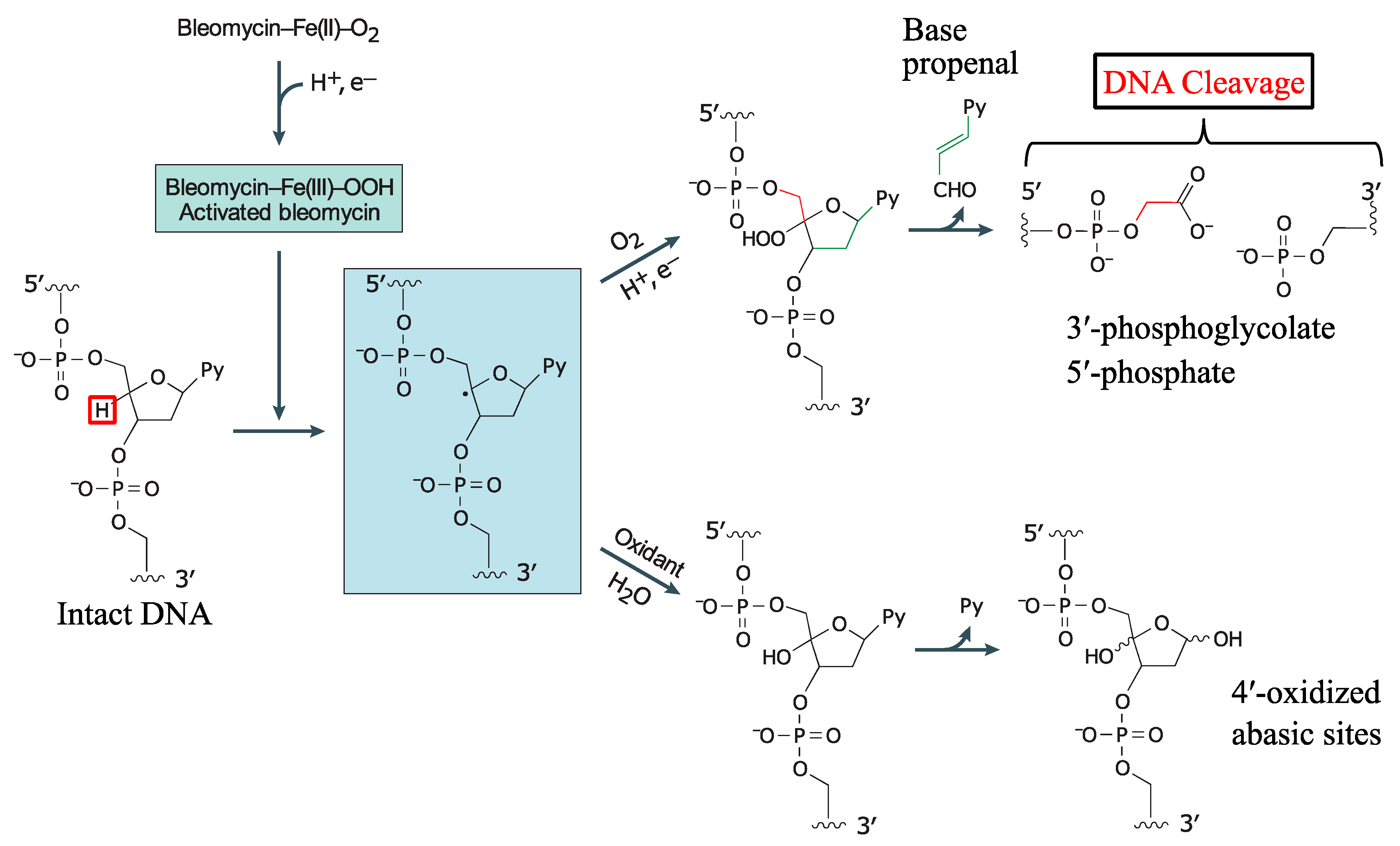 Ijms 19 01372 g002 Ijms 19 01372 g002