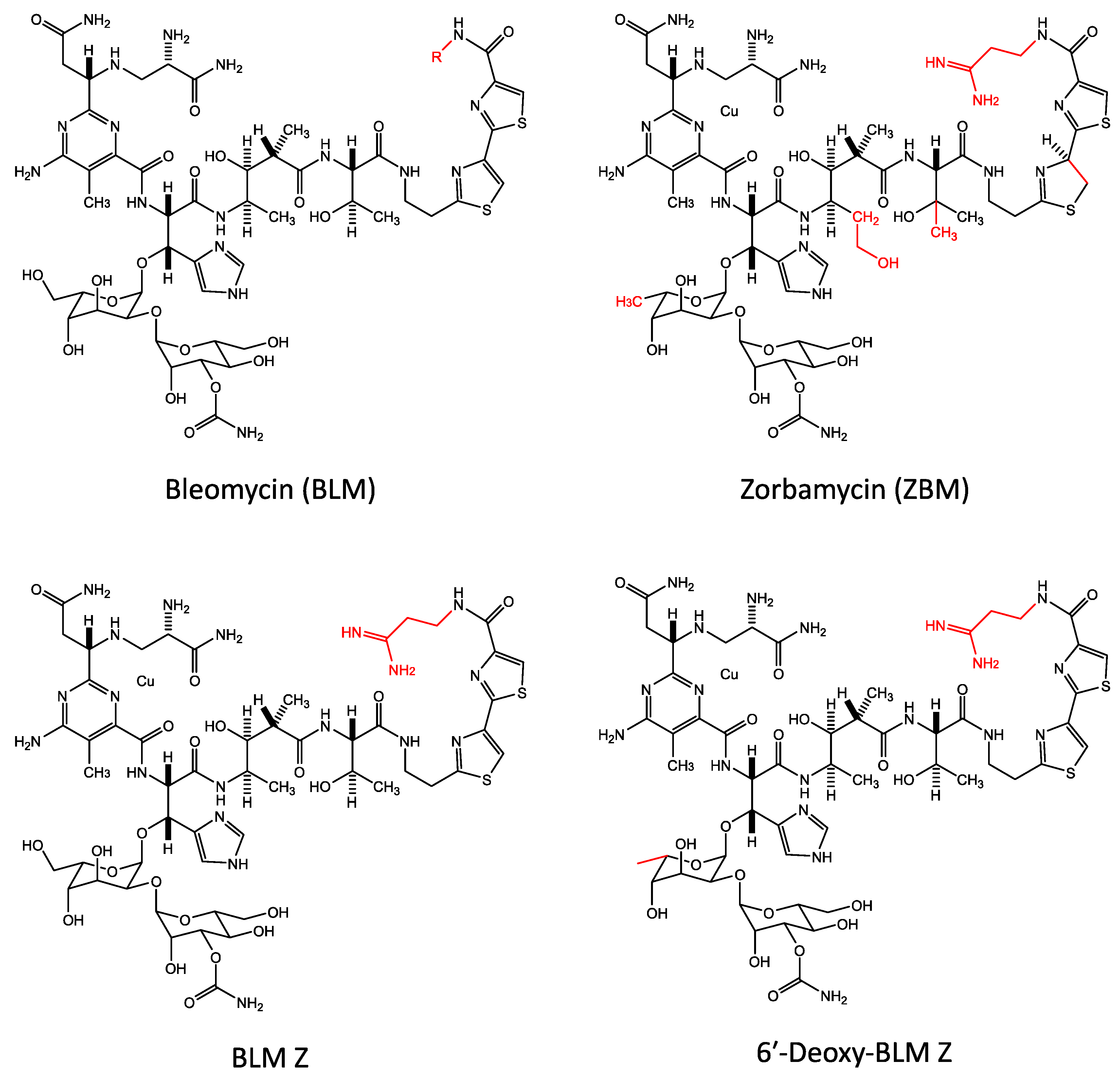 Ijms 19 01372 g006 Ijms 19 01372 g006