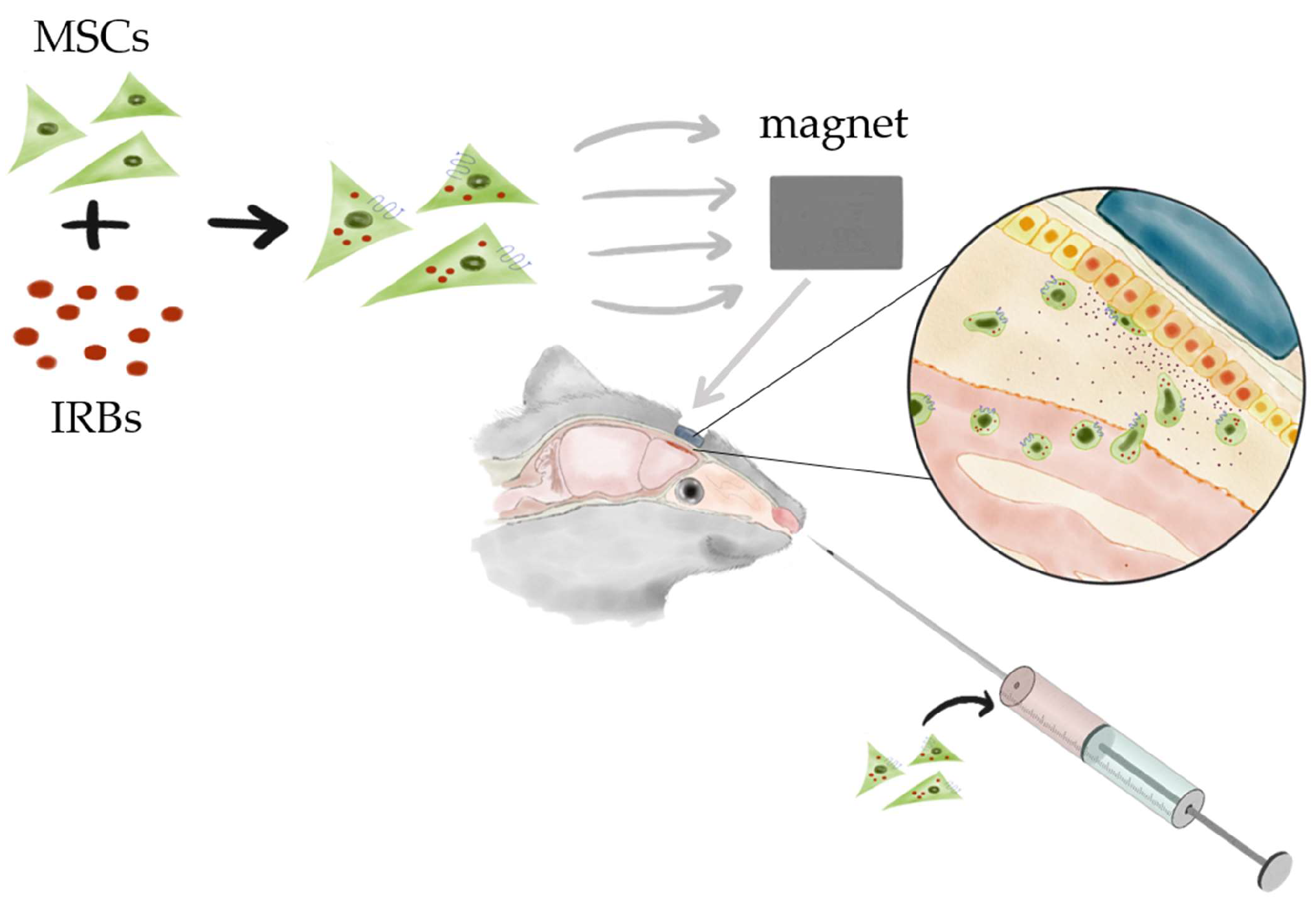 Ijms 19 01376 sch001 Ijms 19 01376 sch001