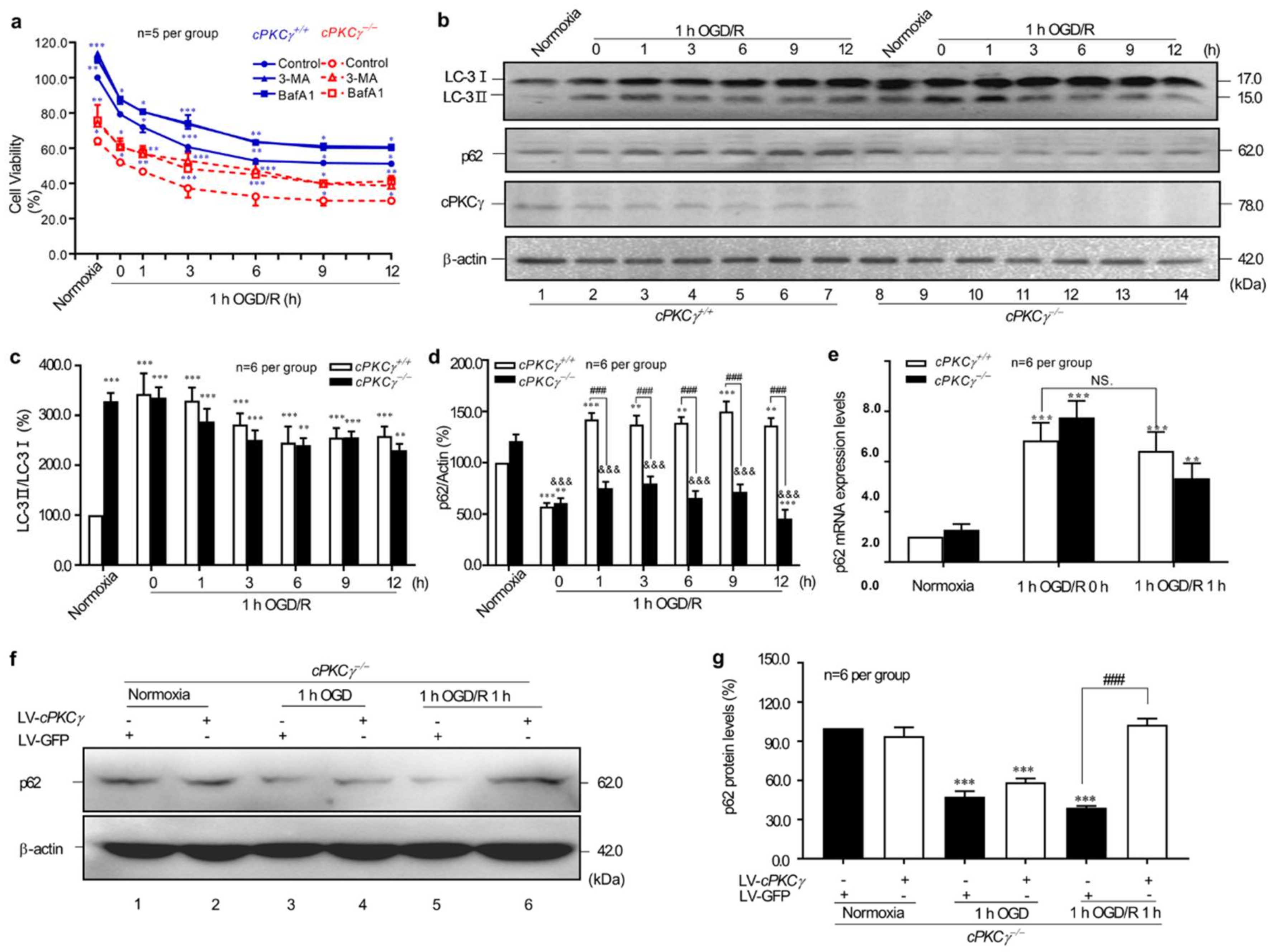 Ijms 19 01380 g001 550