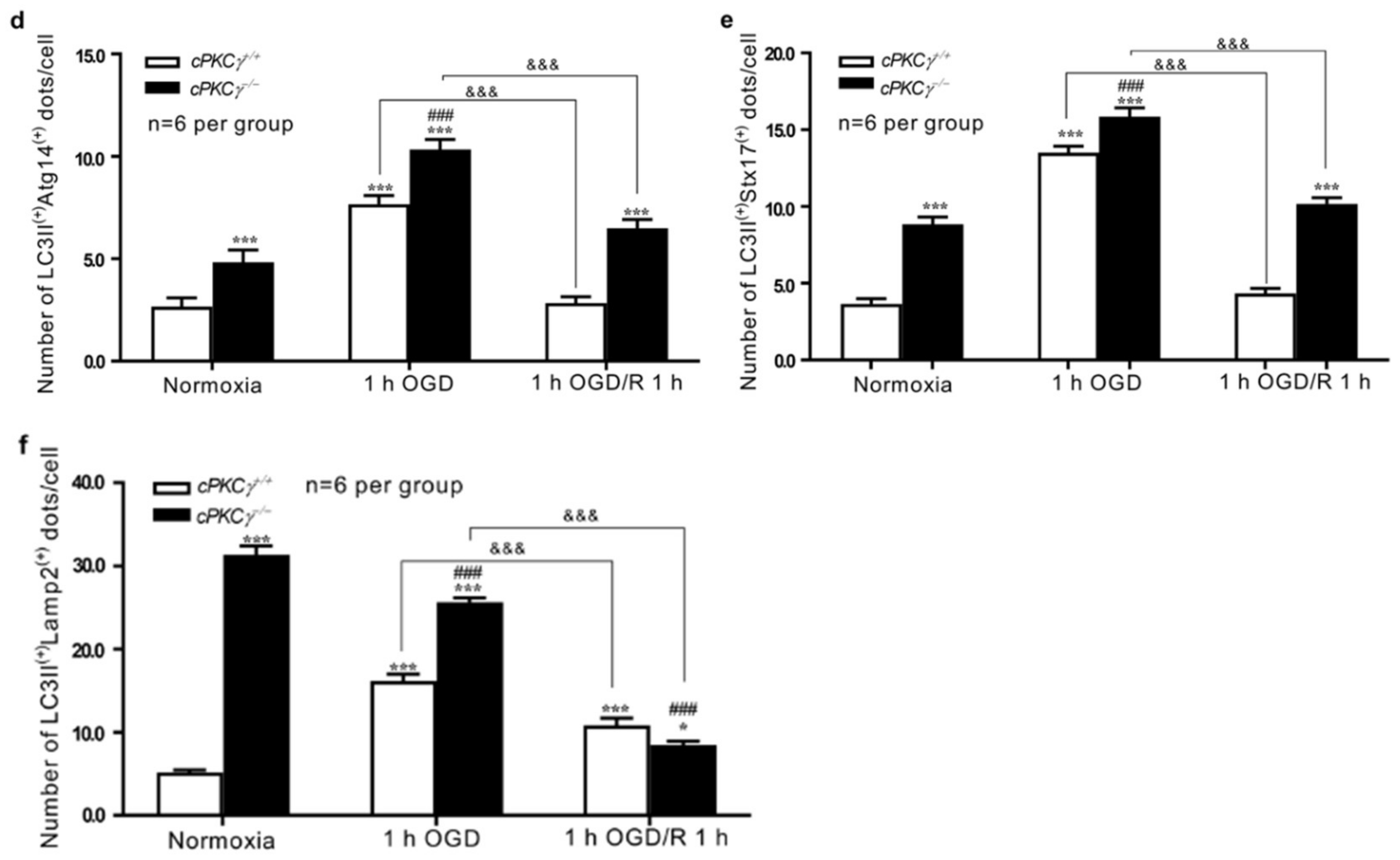 Ijms 19 01380 g002b 550