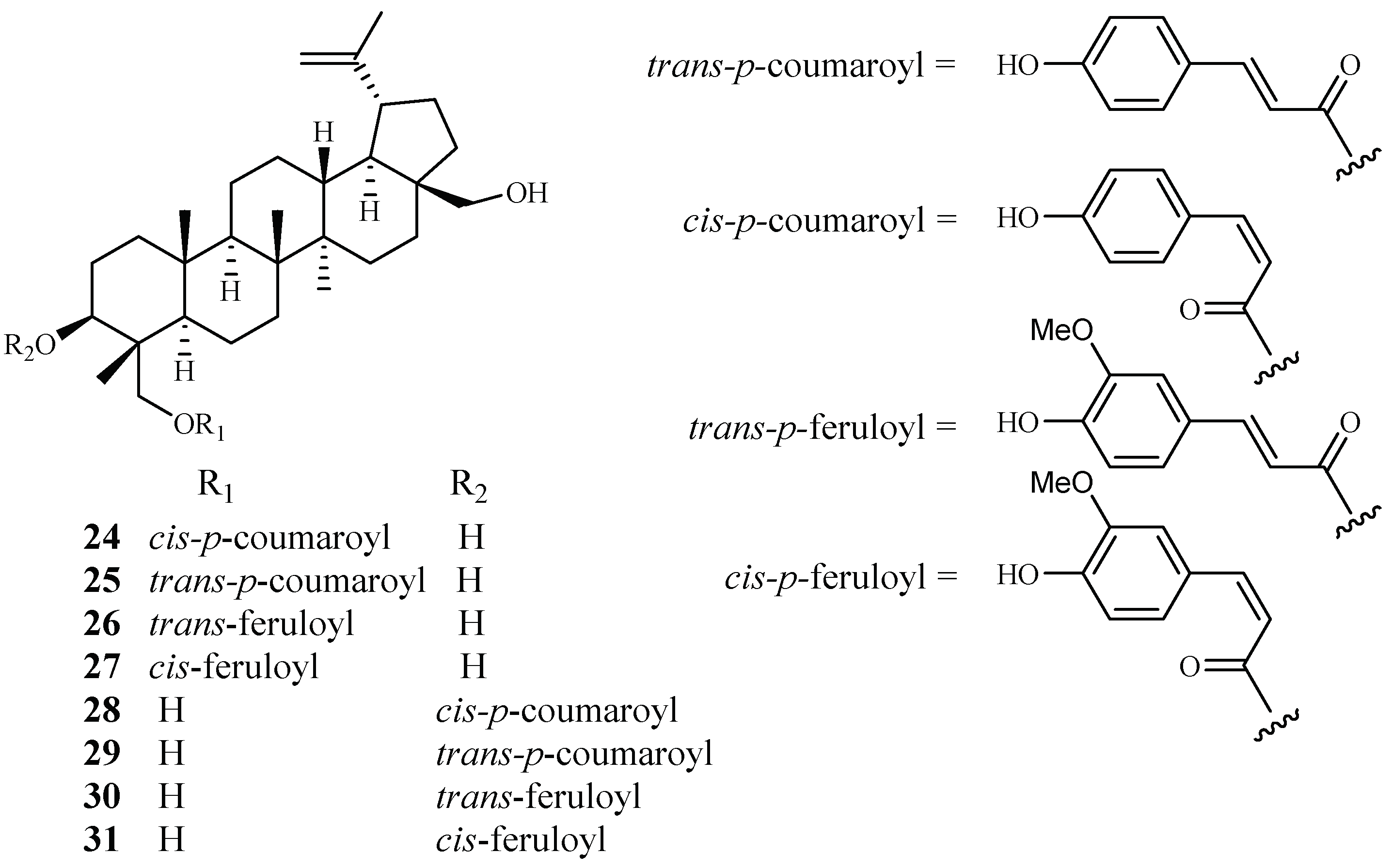 Ijms 19 01382 g007 Ijms 19 01382 g007