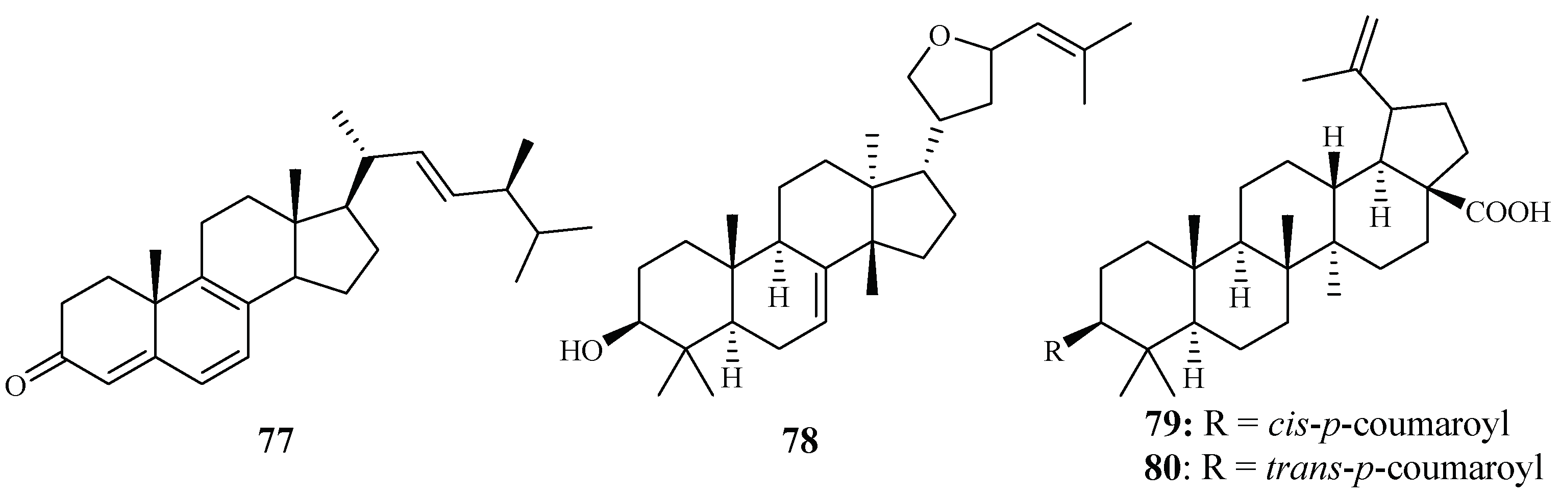 Ijms 19 01382 g013 Ijms 19 01382 g013