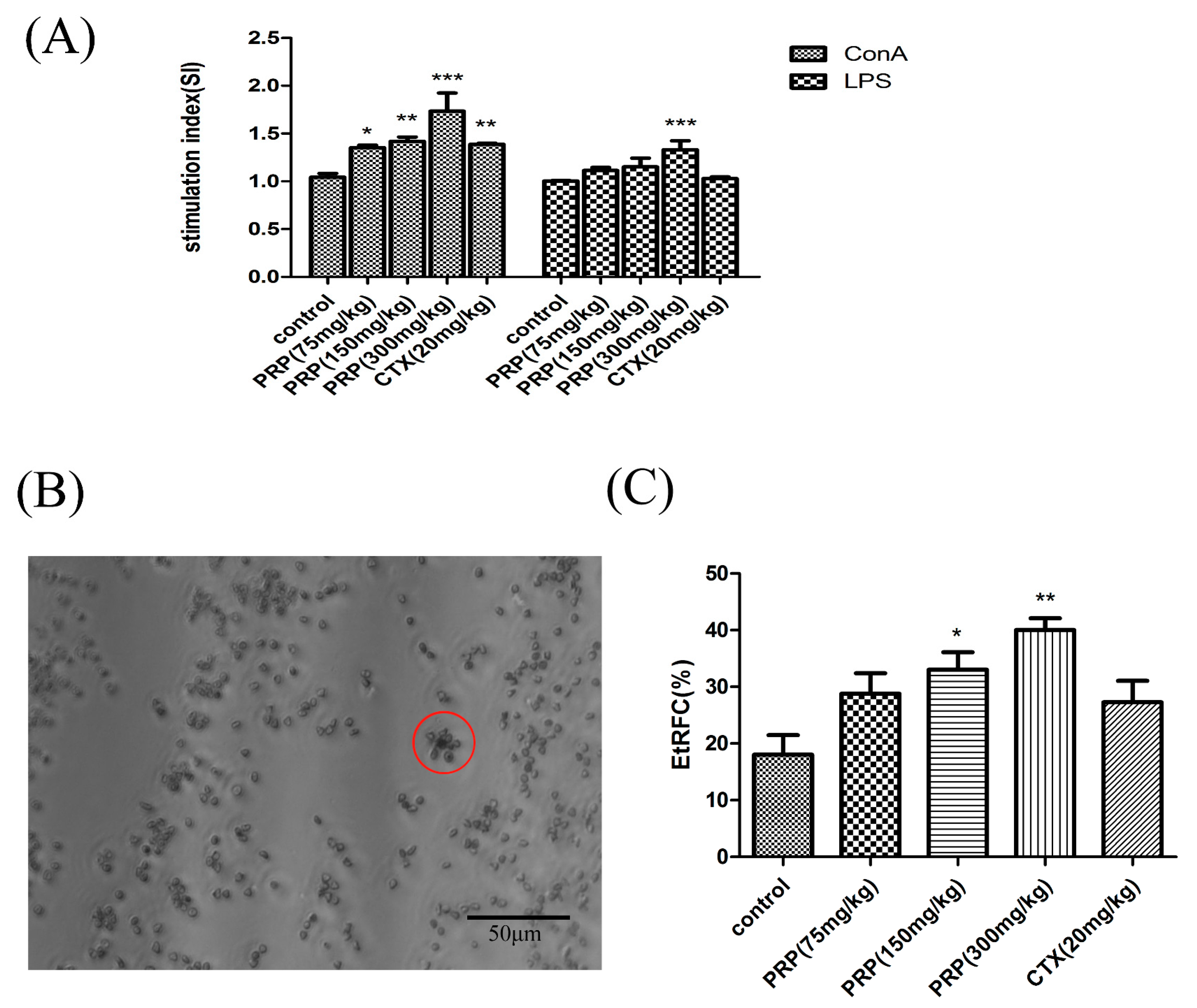 Ijms 19 01386 g003 Ijms 19 01386 g003