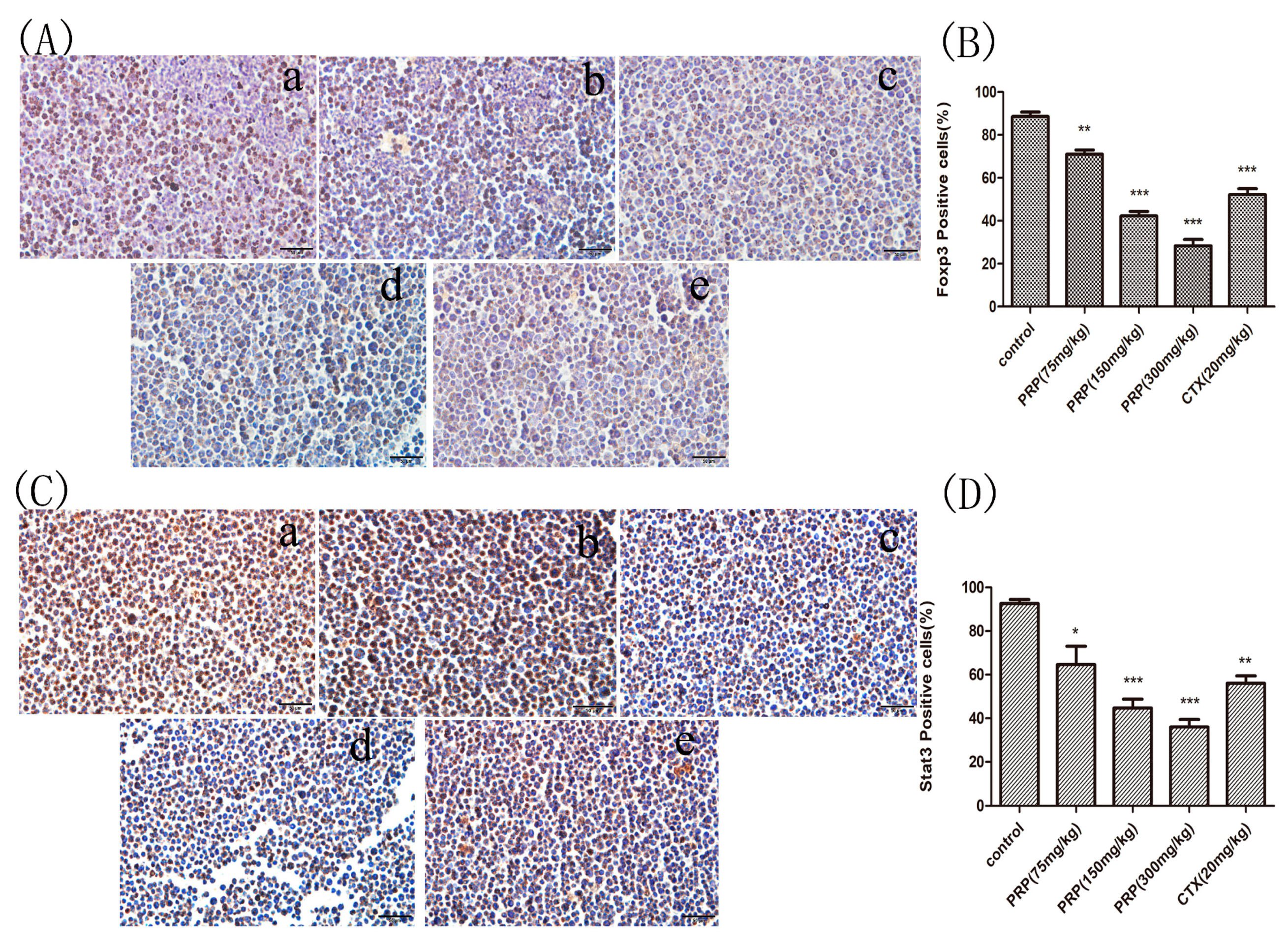 Ijms 19 01386 g005 Ijms 19 01386 g005