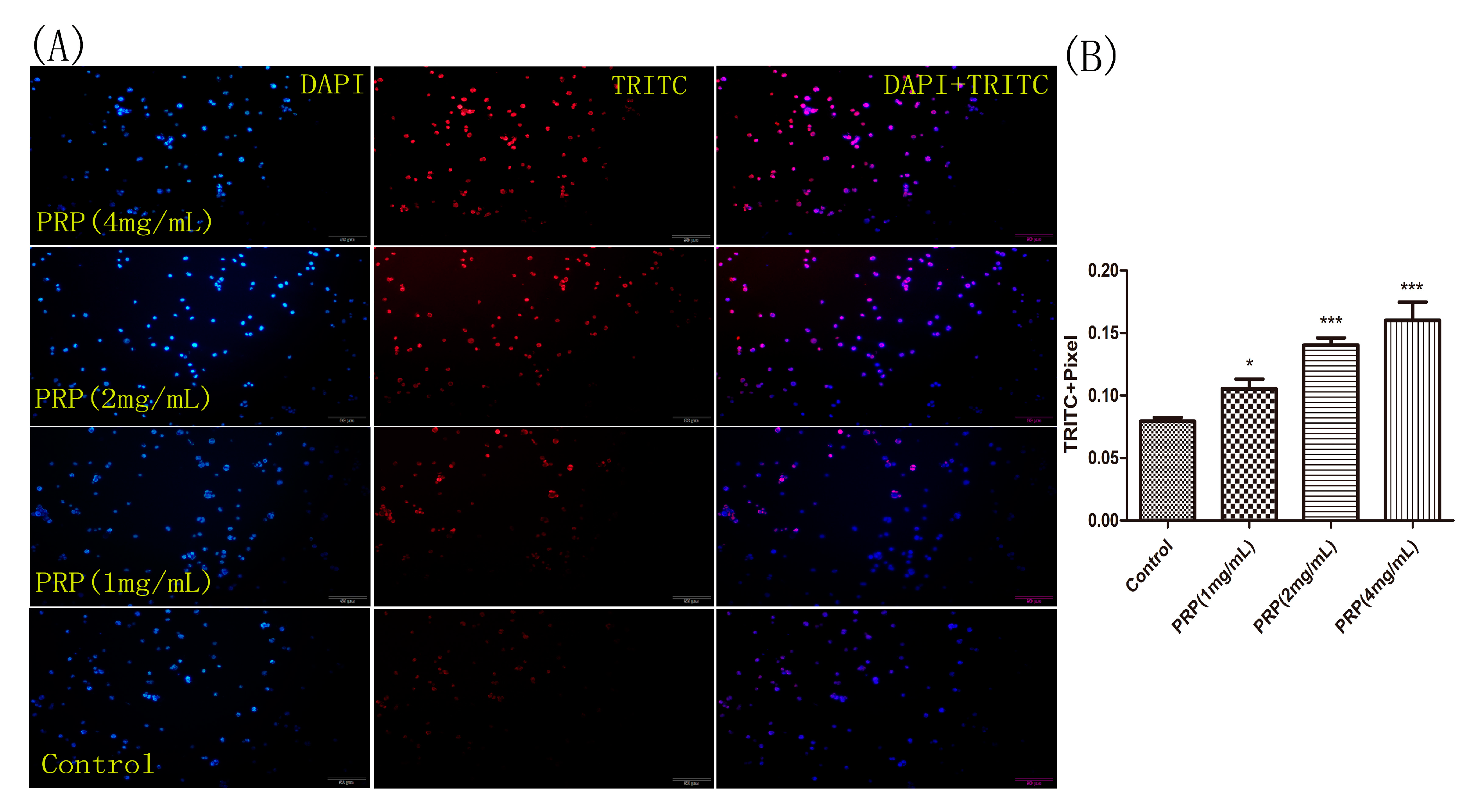 Ijms 19 01386 g009 Ijms 19 01386 g009