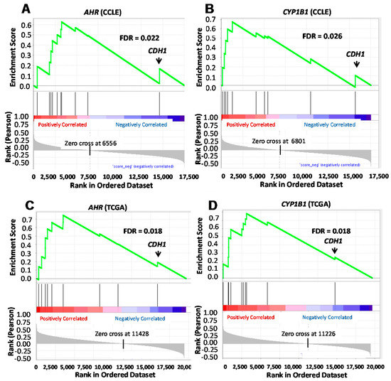 ブラウン　オーラルB -ioシリーズ6 Towards Resolving the Pro- and Anti-Tumor Effects of the Aryl