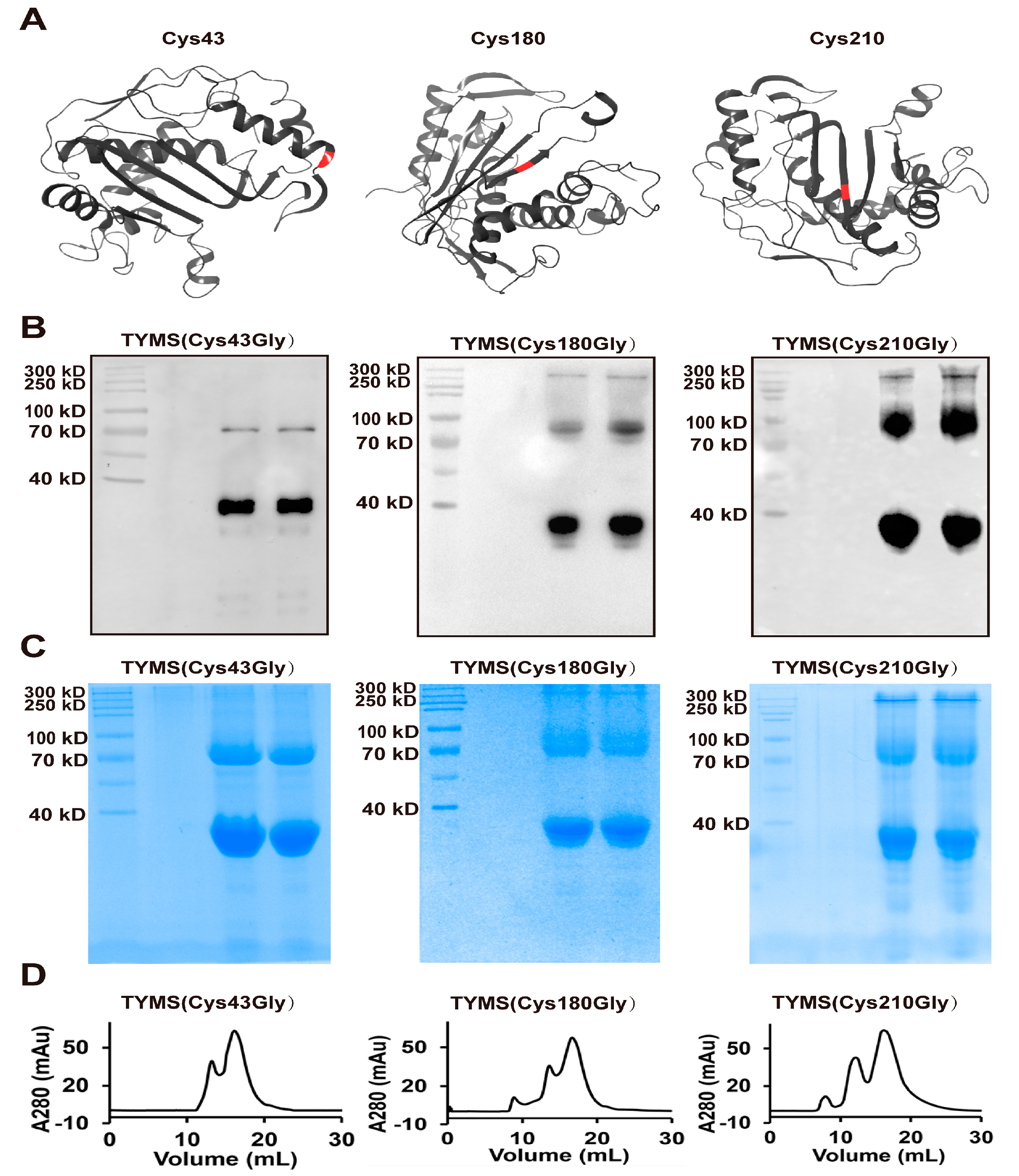 Ijms 19 01393 g003 Ijms 19 01393 g003