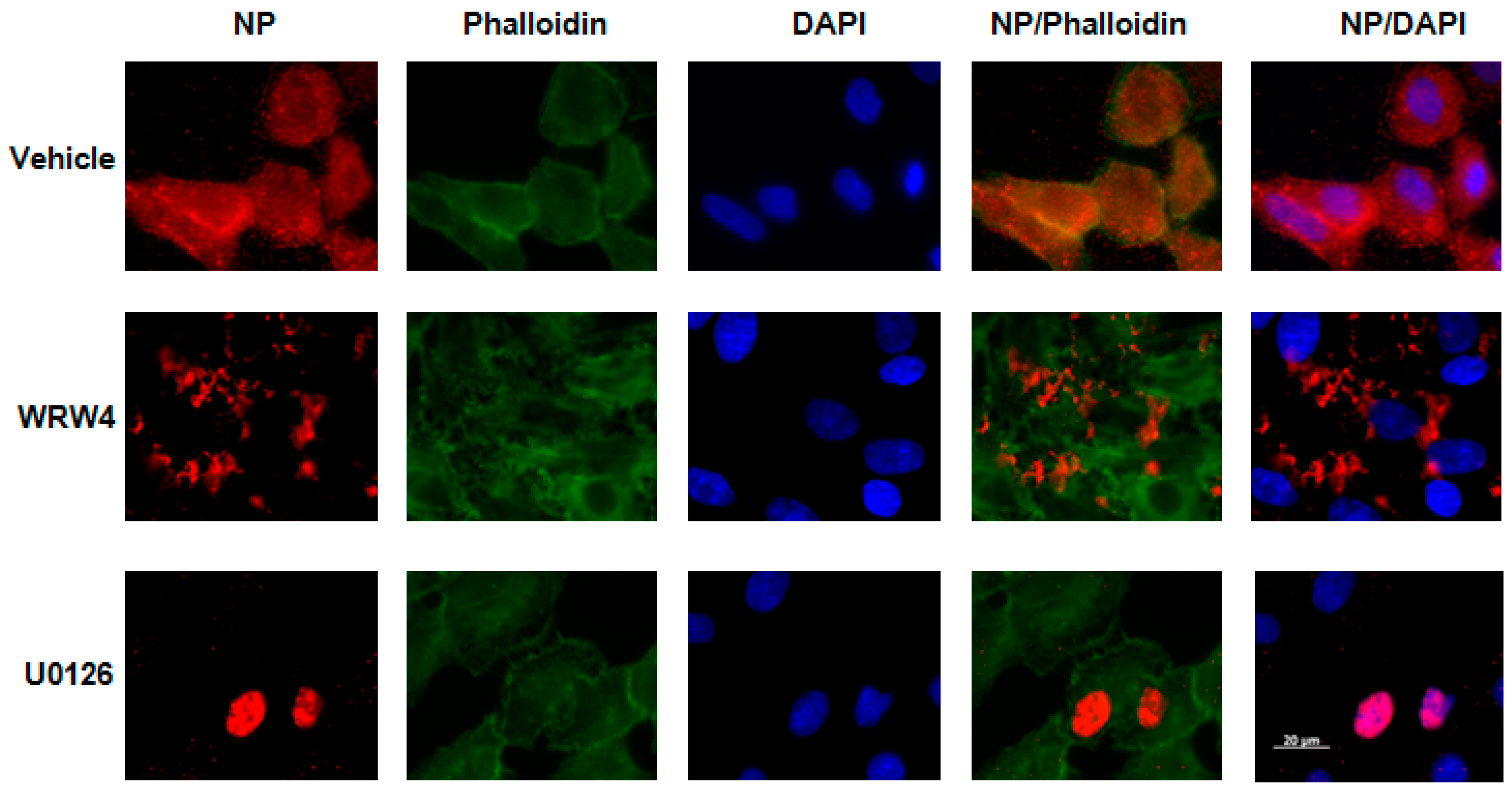 Ijms 19 01400 g001 550