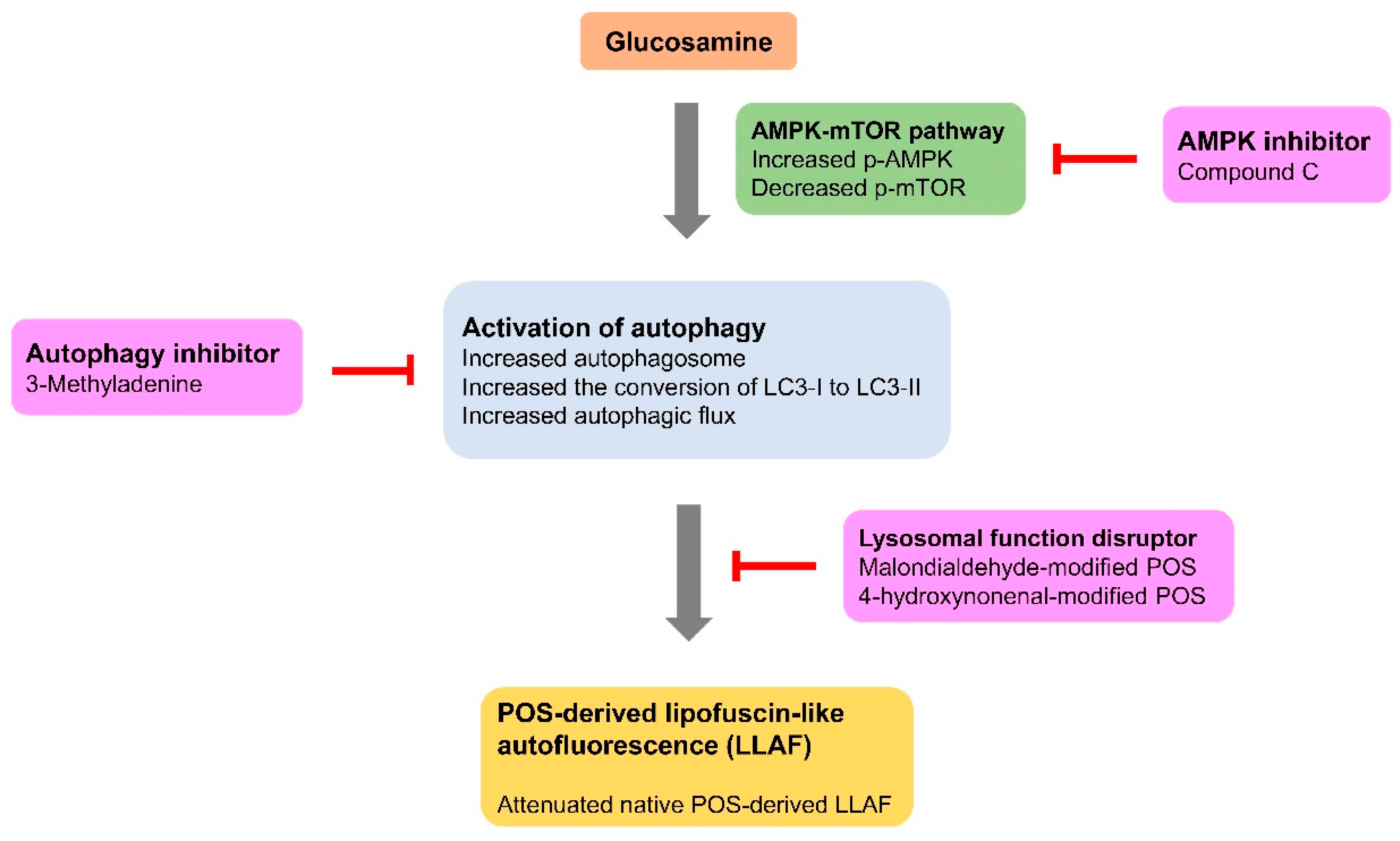 Ijms 19 01416 g008 Ijms 19 01416 g008