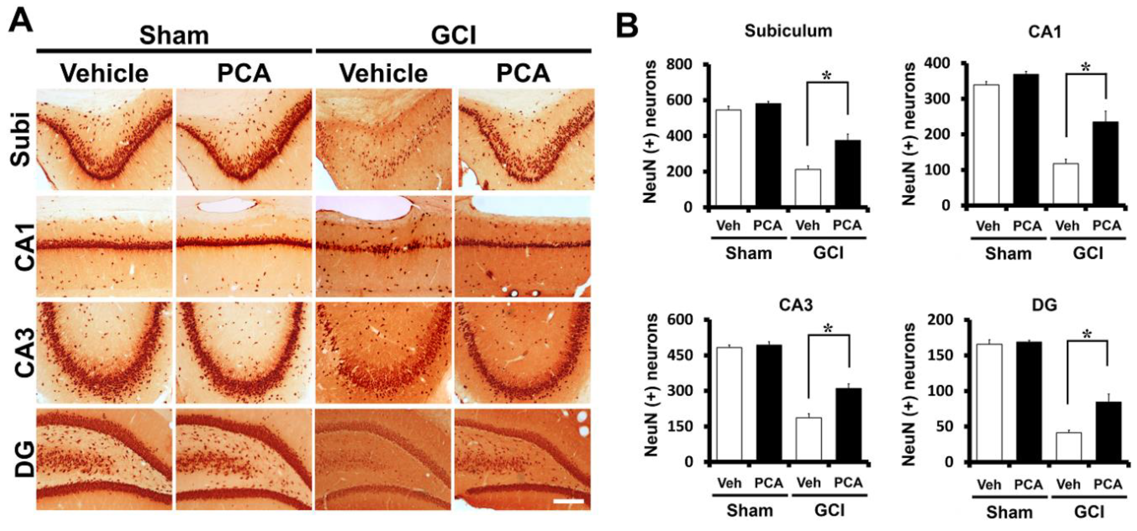 Ijms 19 01420 g002 550