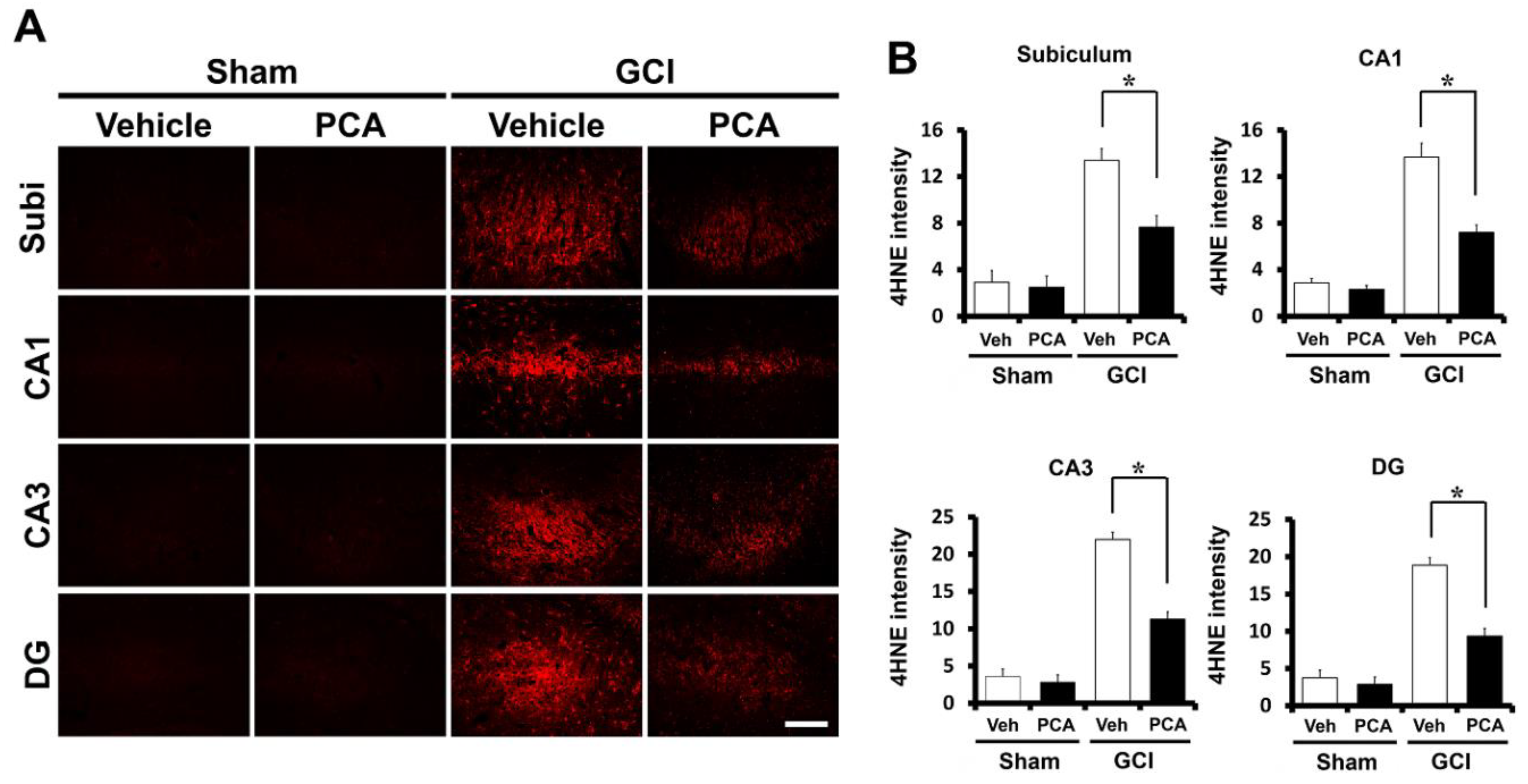 Ijms 19 01420 g003 550