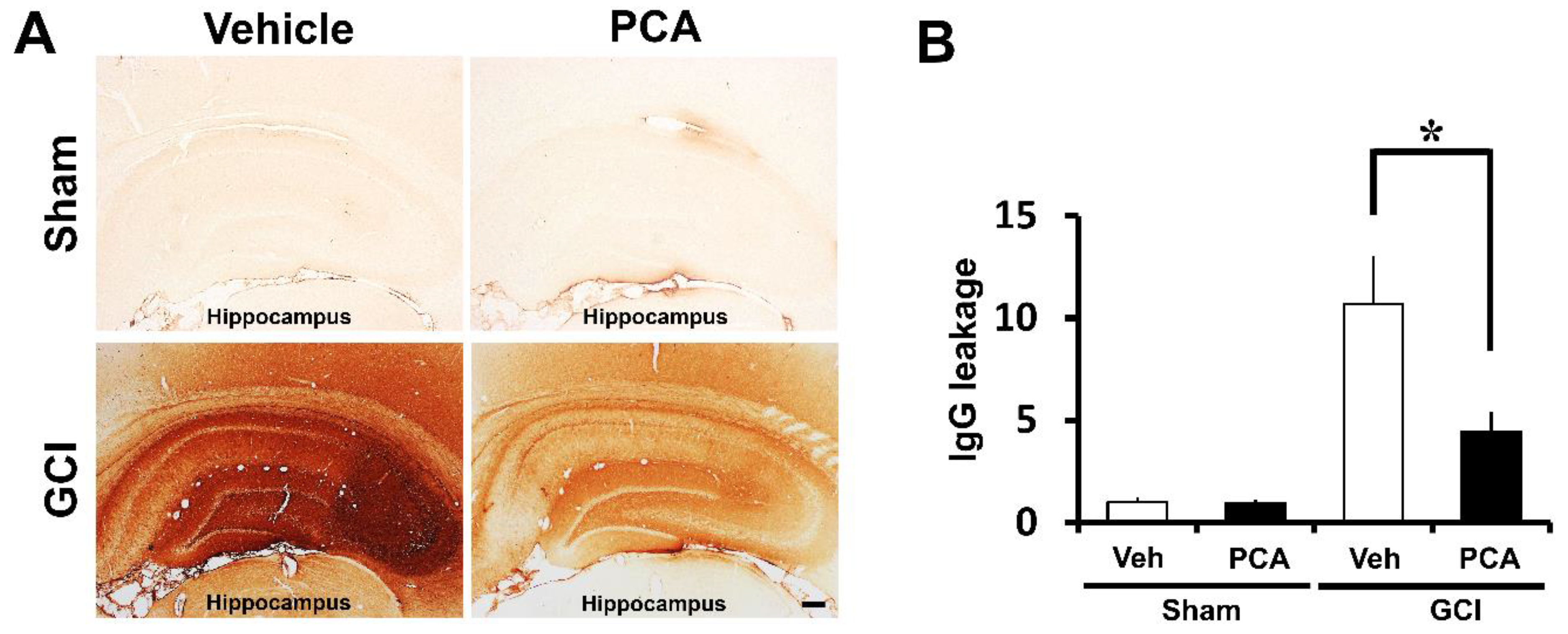Ijms 19 01420 g004 550