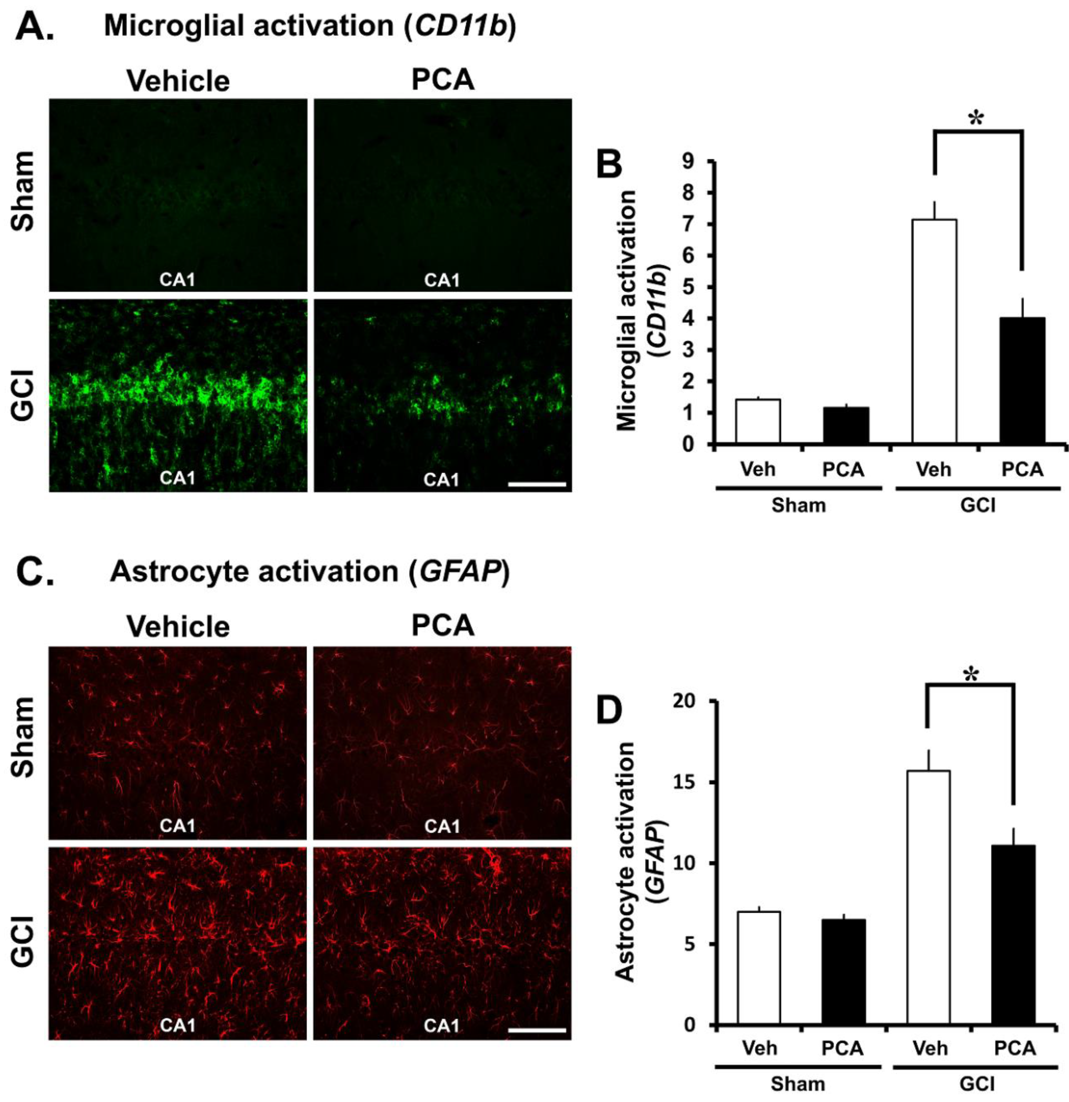Ijms 19 01420 g005 550