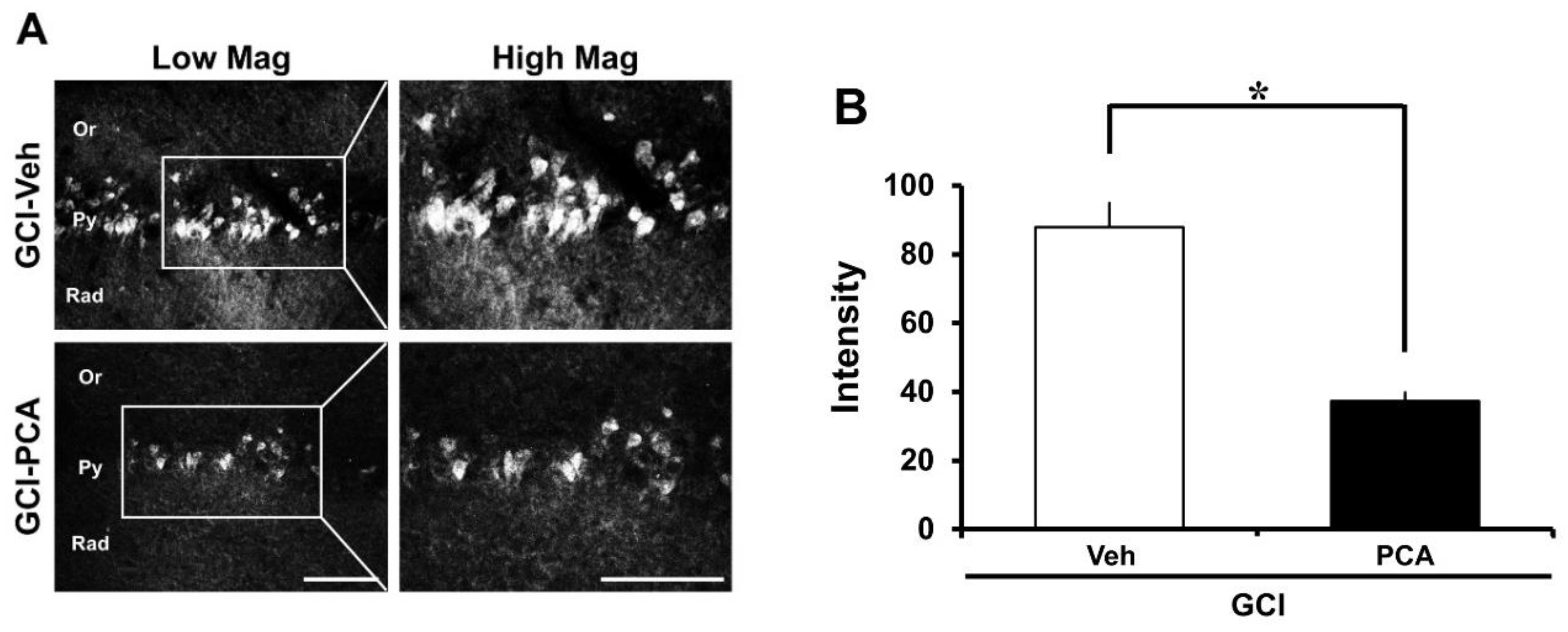 Ijms 19 01420 g007 550
