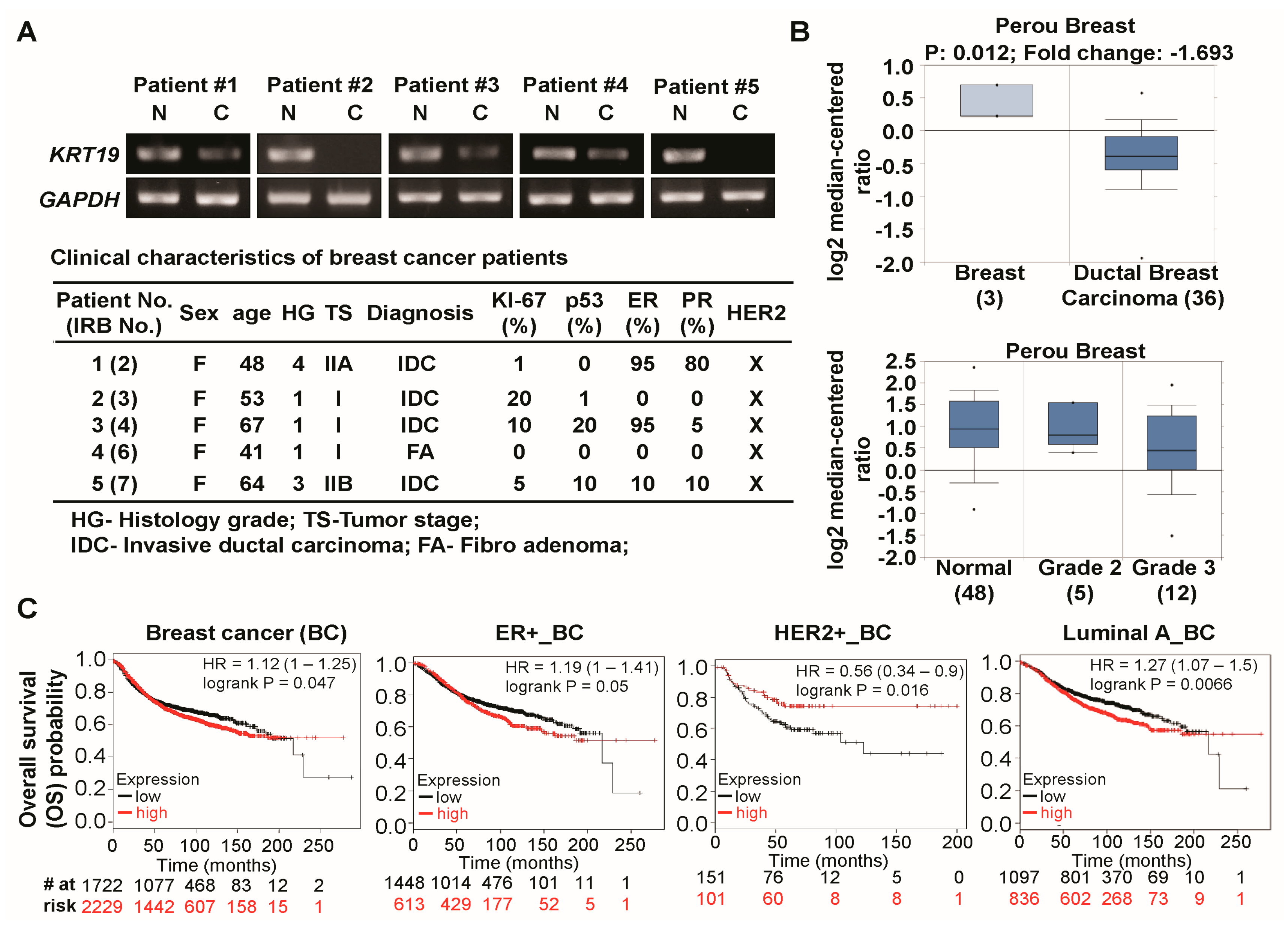 Ijms 19 01423 g001 Ijms 19 01423 g001