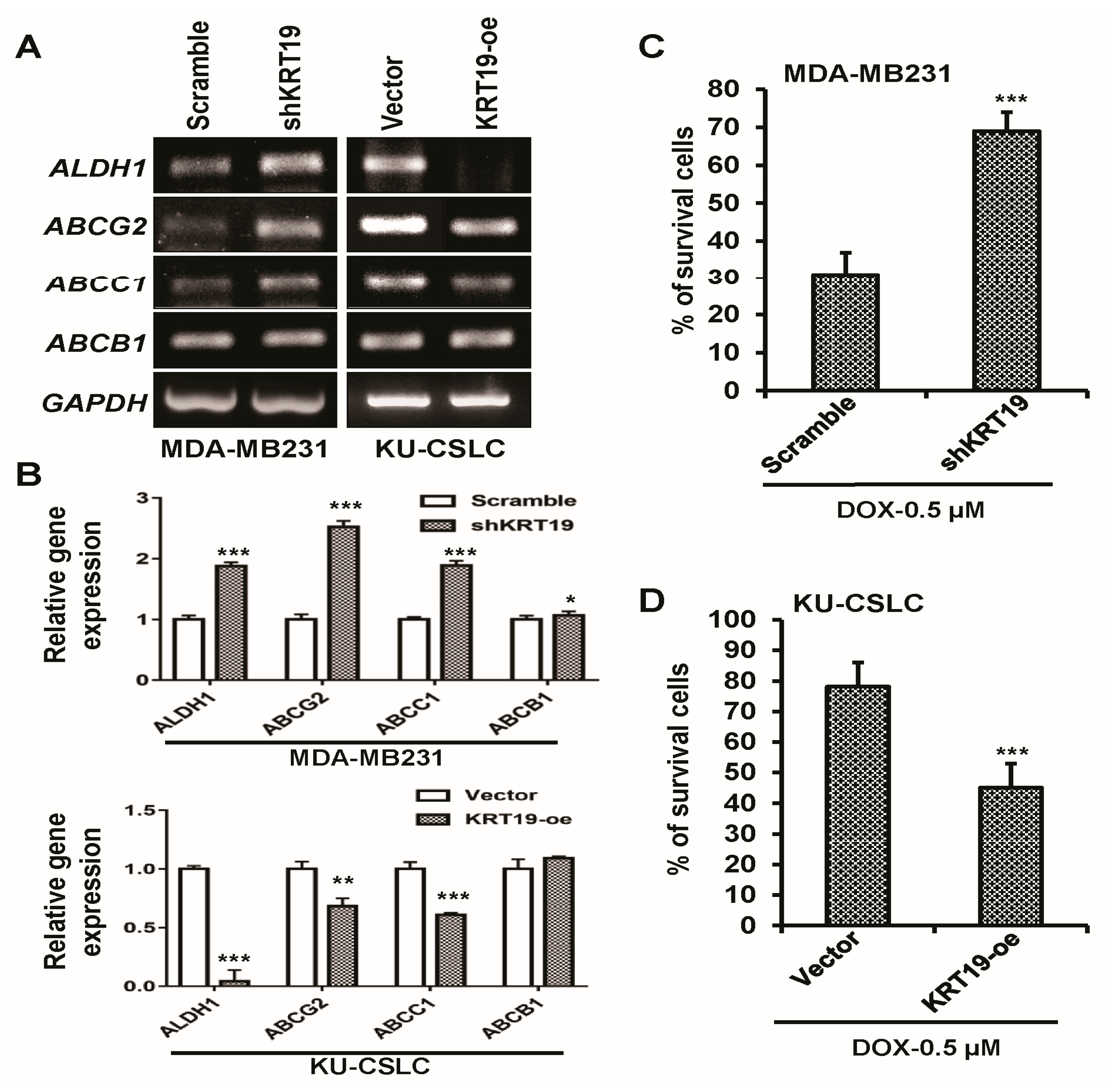 Ijms 19 01423 g005 Ijms 19 01423 g005