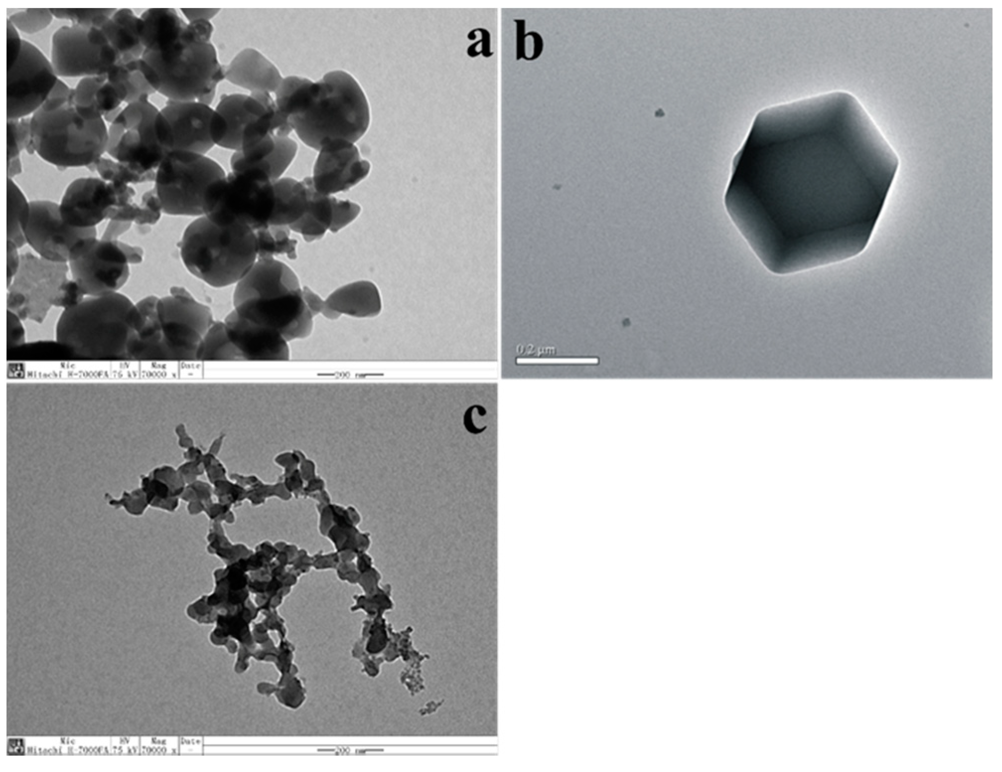 Ijms 19 01424 g002