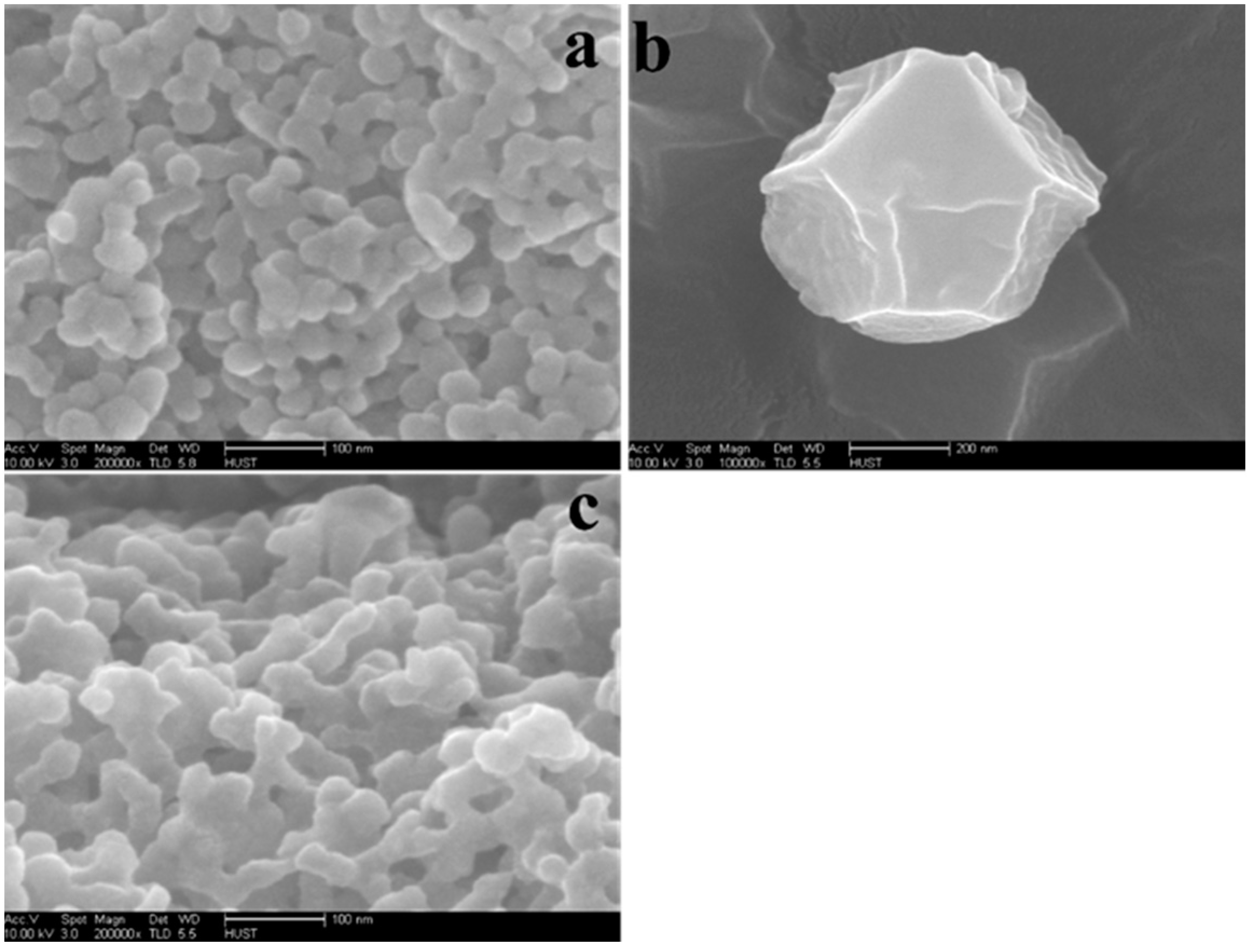 Ijms 19 01424 g003