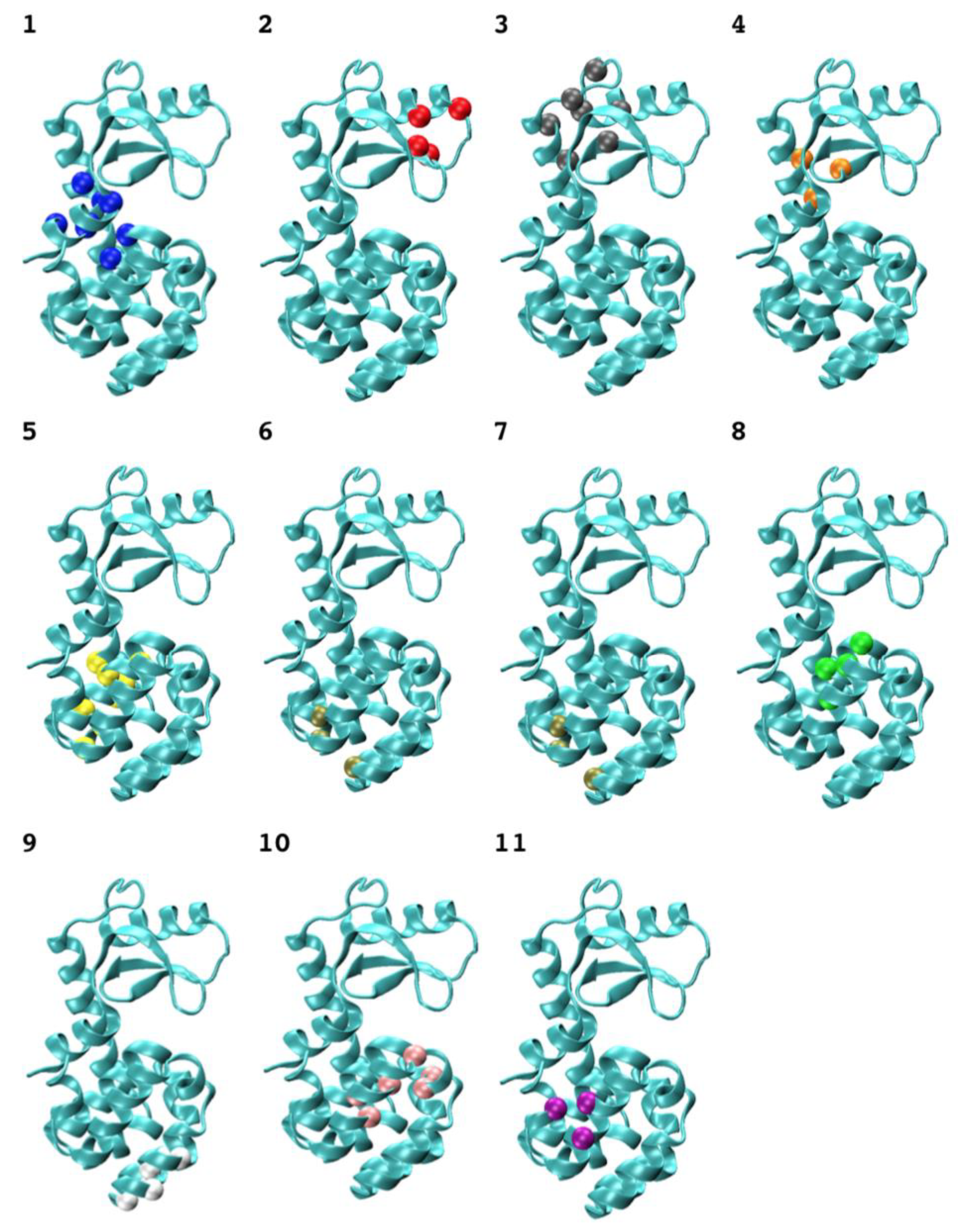 Ijms 19 01427 g003 Ijms 19 01427 g003