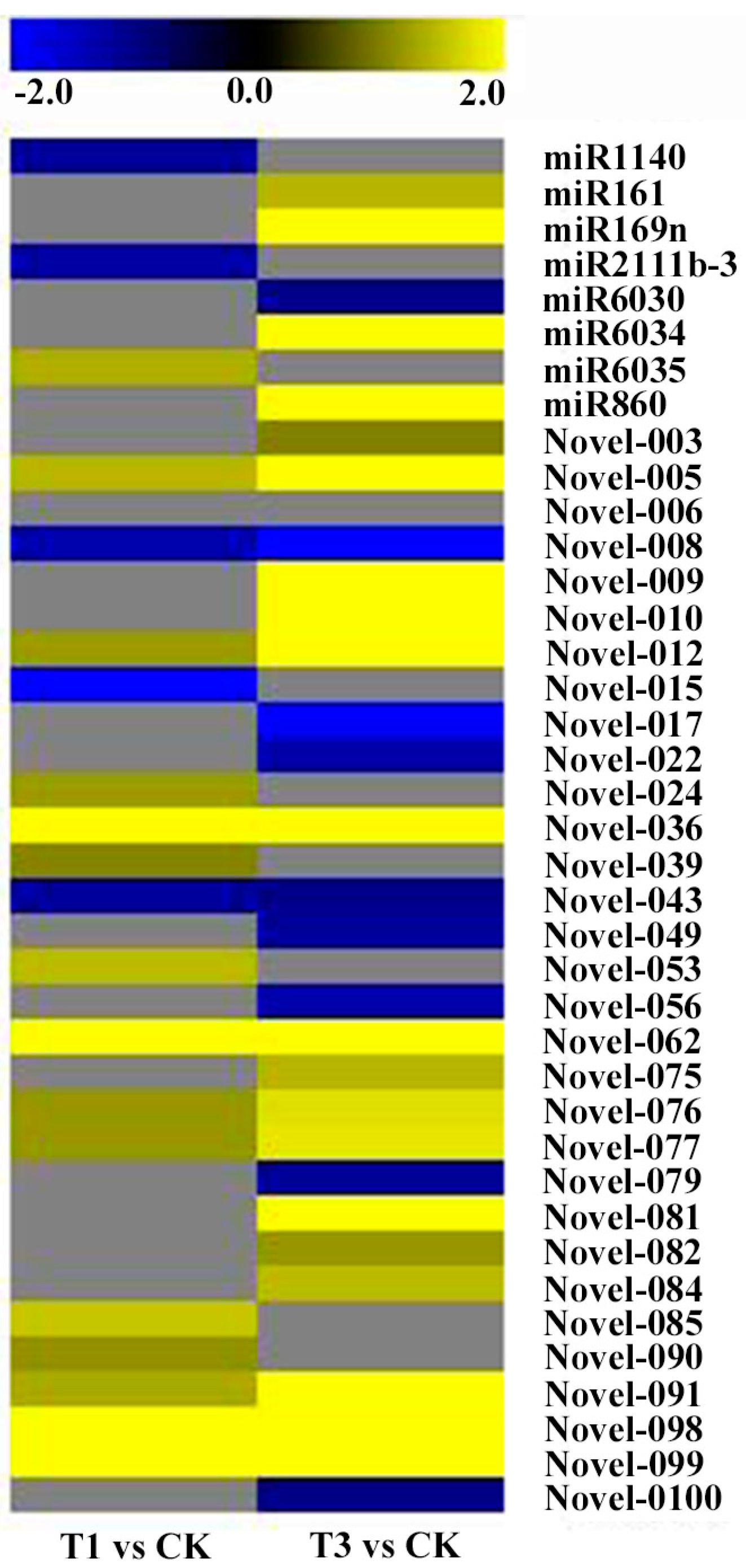 Ijms 19 01431 g006 Ijms 19 01431 g006