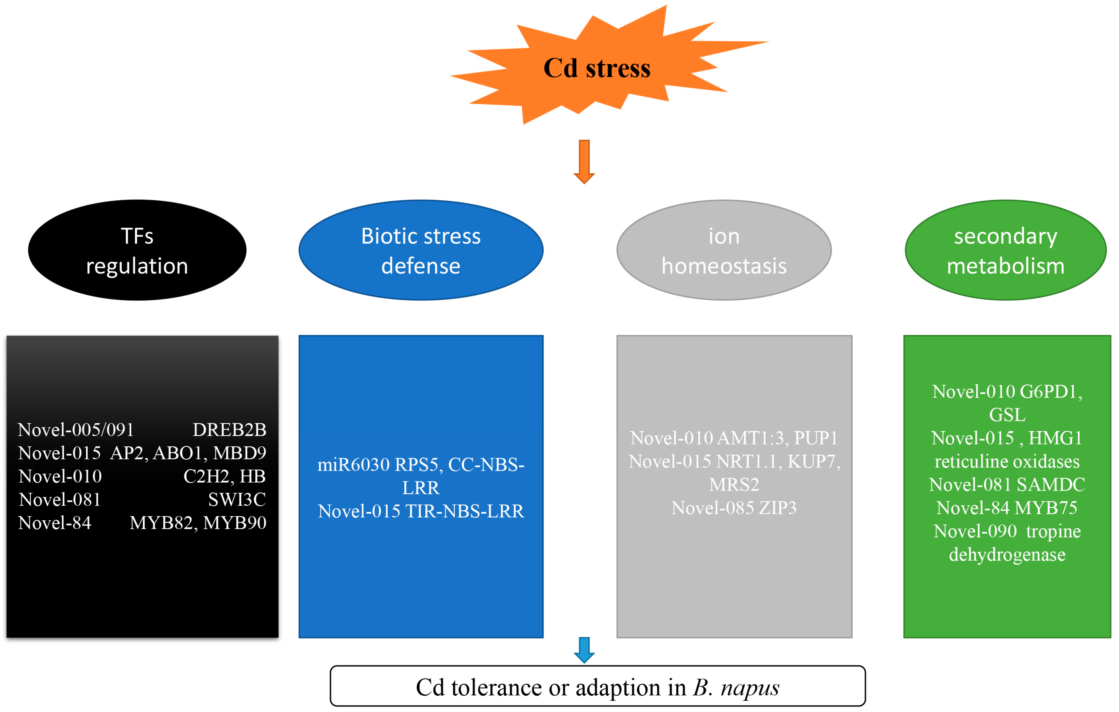 Ijms 19 01431 g008 Ijms 19 01431 g008