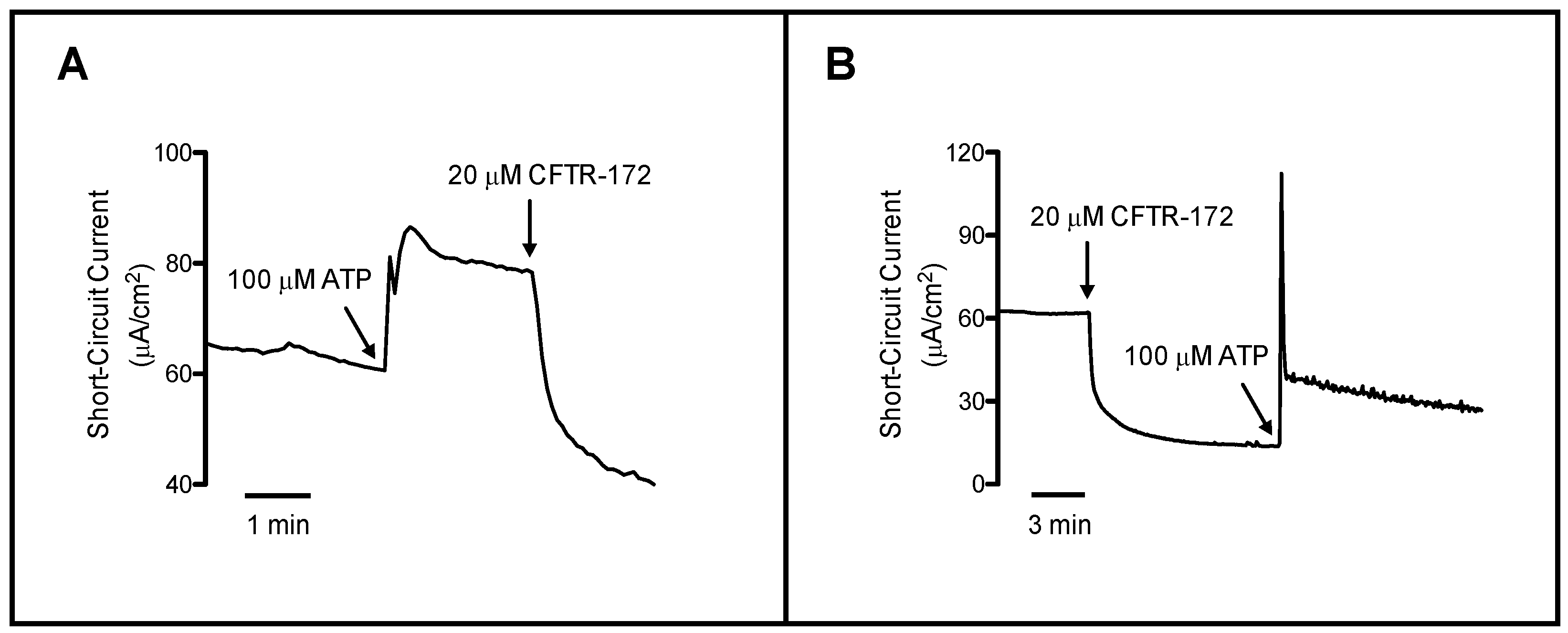 Ijms 19 01432 g001 Ijms 19 01432 g001